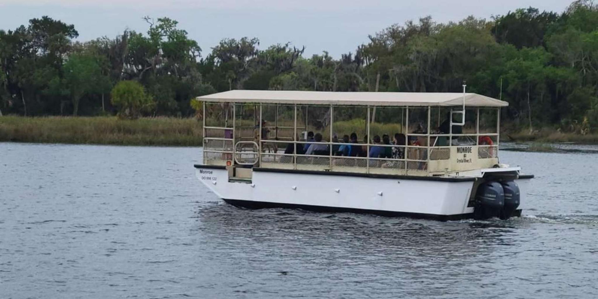 Crystal River Wildlife Boat Tour with Naturalist Guide - Image 4