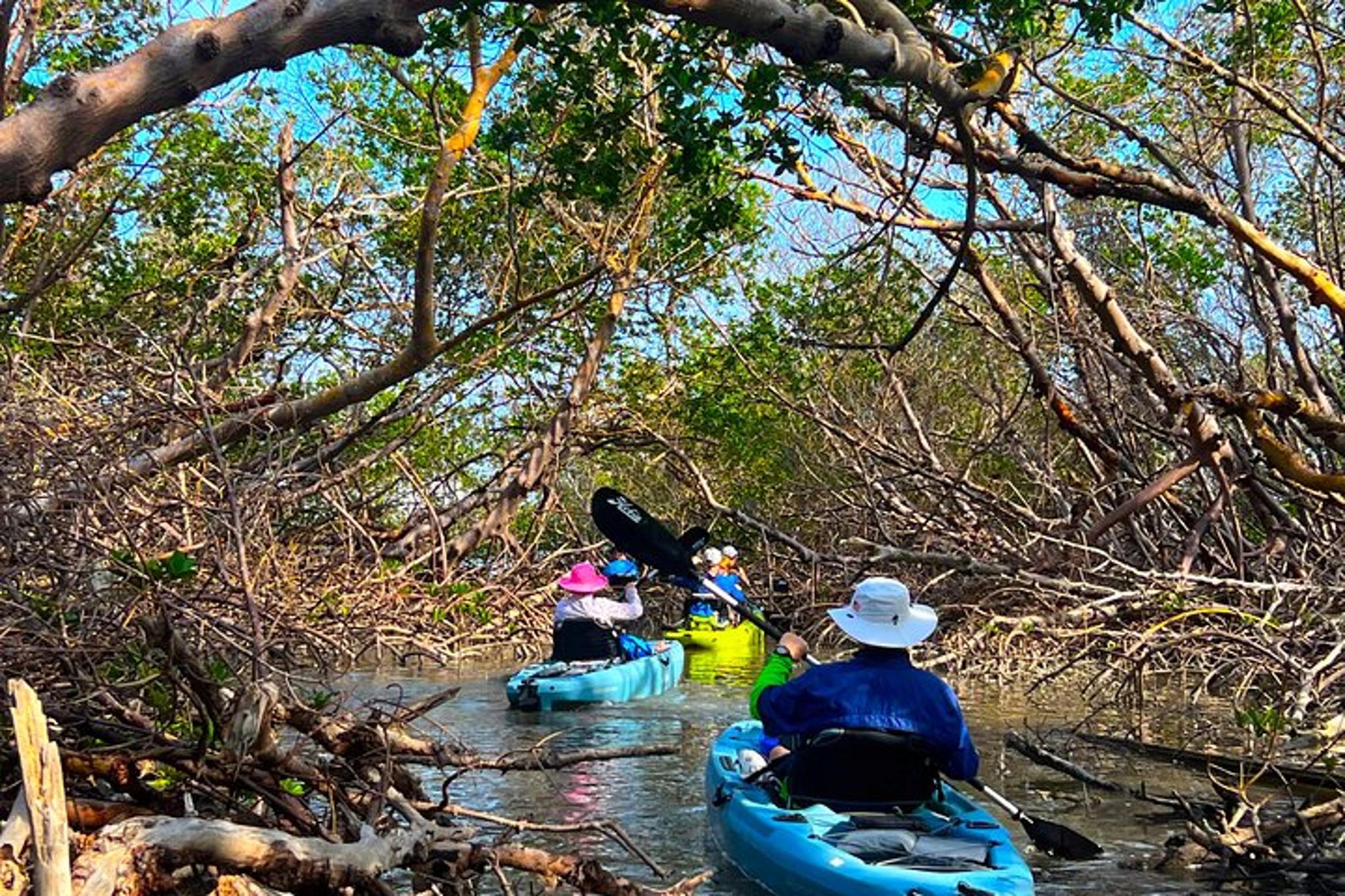 Big Hickory Island Hobie Kayak Eco Adventure
