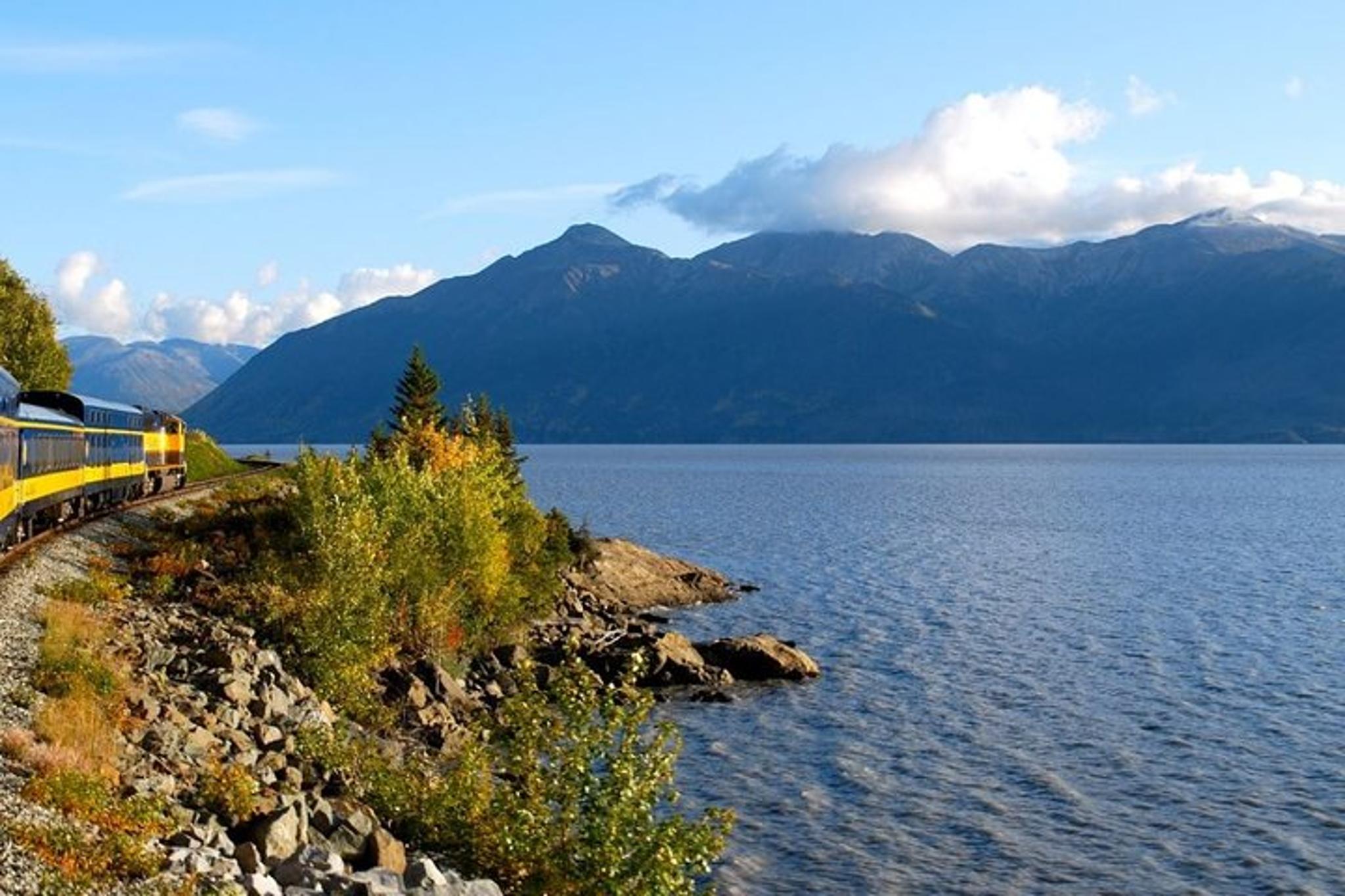 Seward to Anchorage Private Tour and Cruise Transfer - Image 2