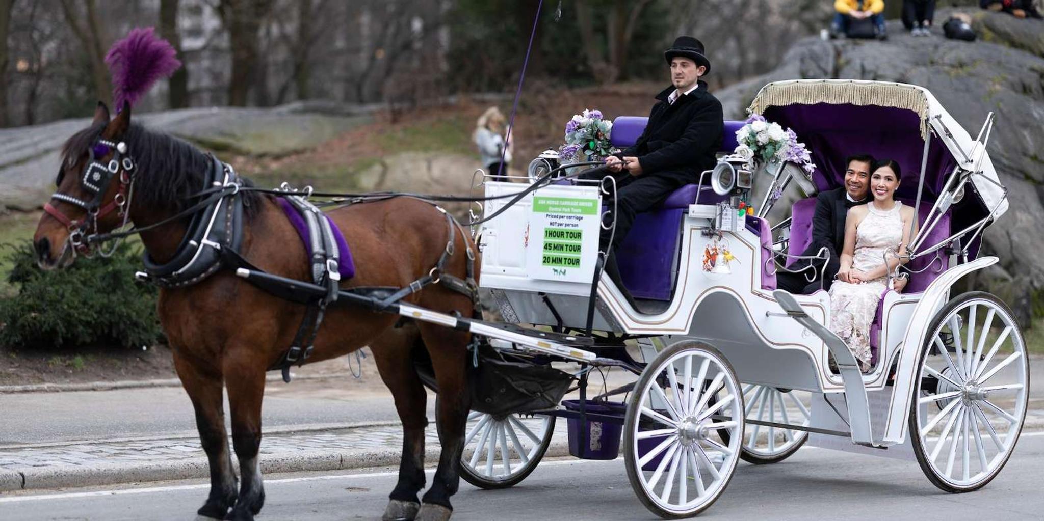 New York Central Park Carriage Ride