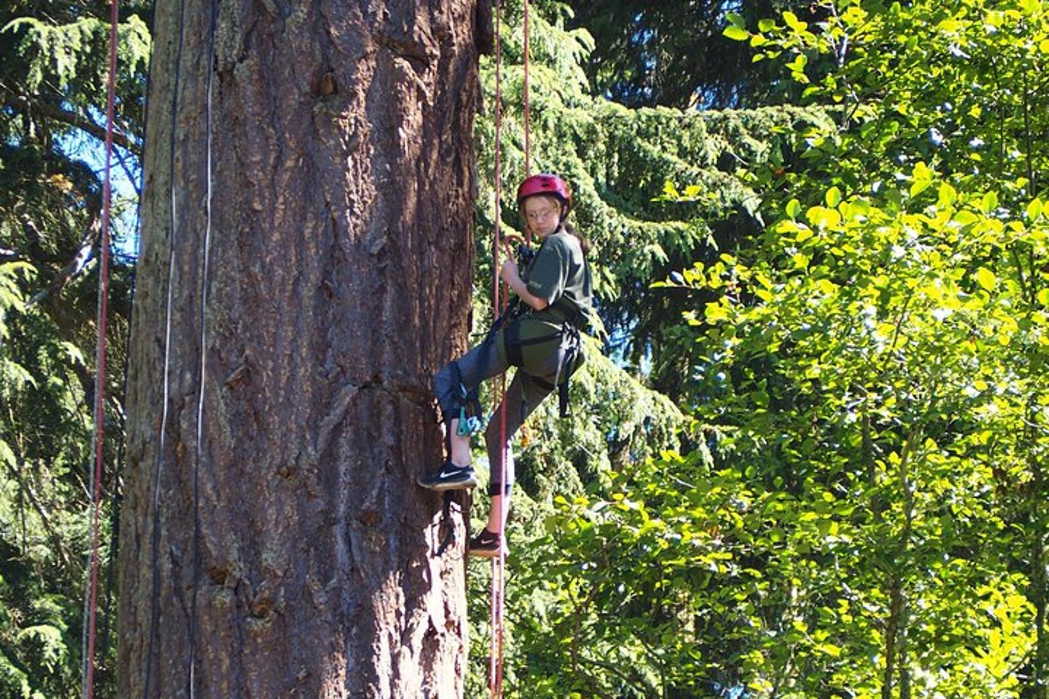 Lopez Island Tree Canopy Climbing - Image 2