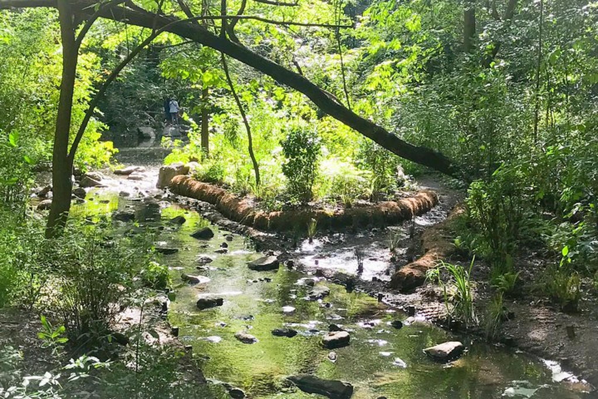 New York Central Park Secret Tour 2.5 hr - Image 4