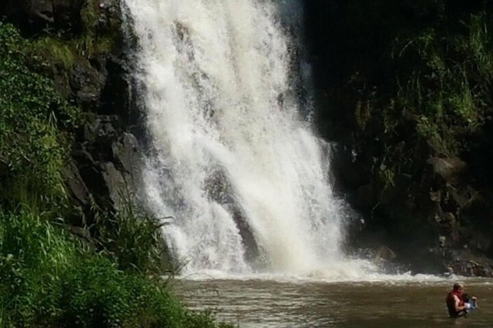 North Shore Waterfalls and Turtles Tour - Image 6