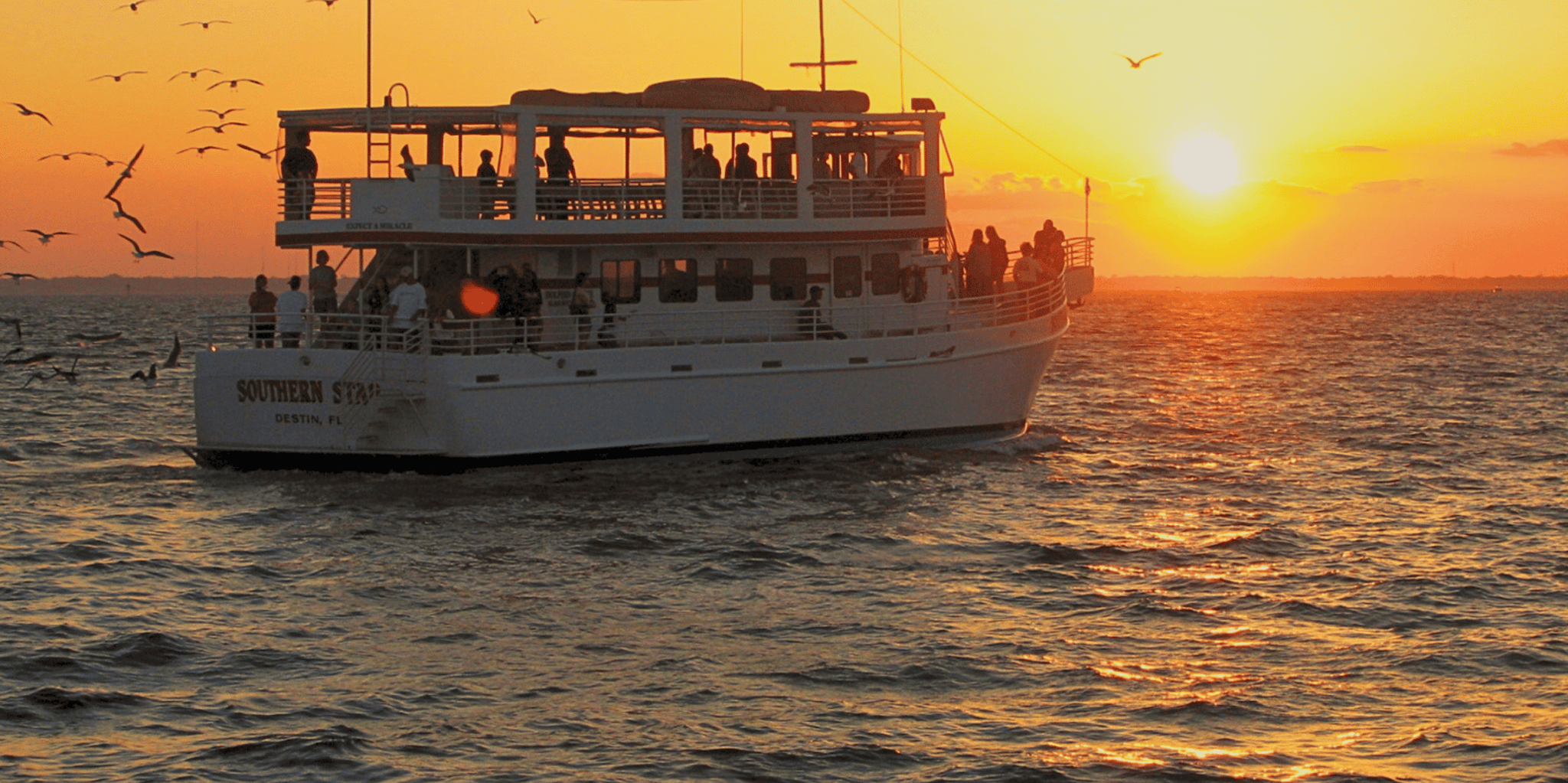 Destin Dolphin Cruise at Sunset