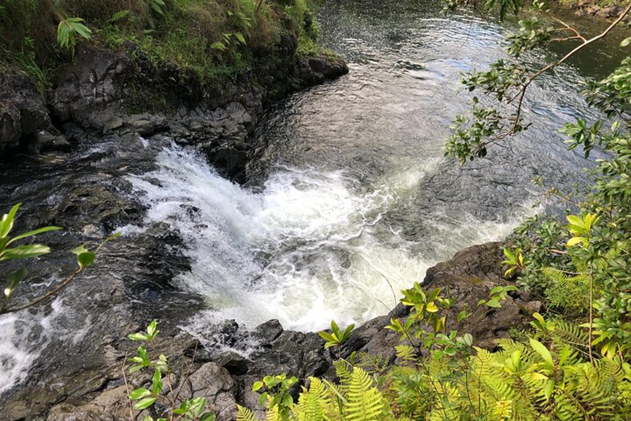 Maui Road to Hana and Waterfall Hike - Image 6