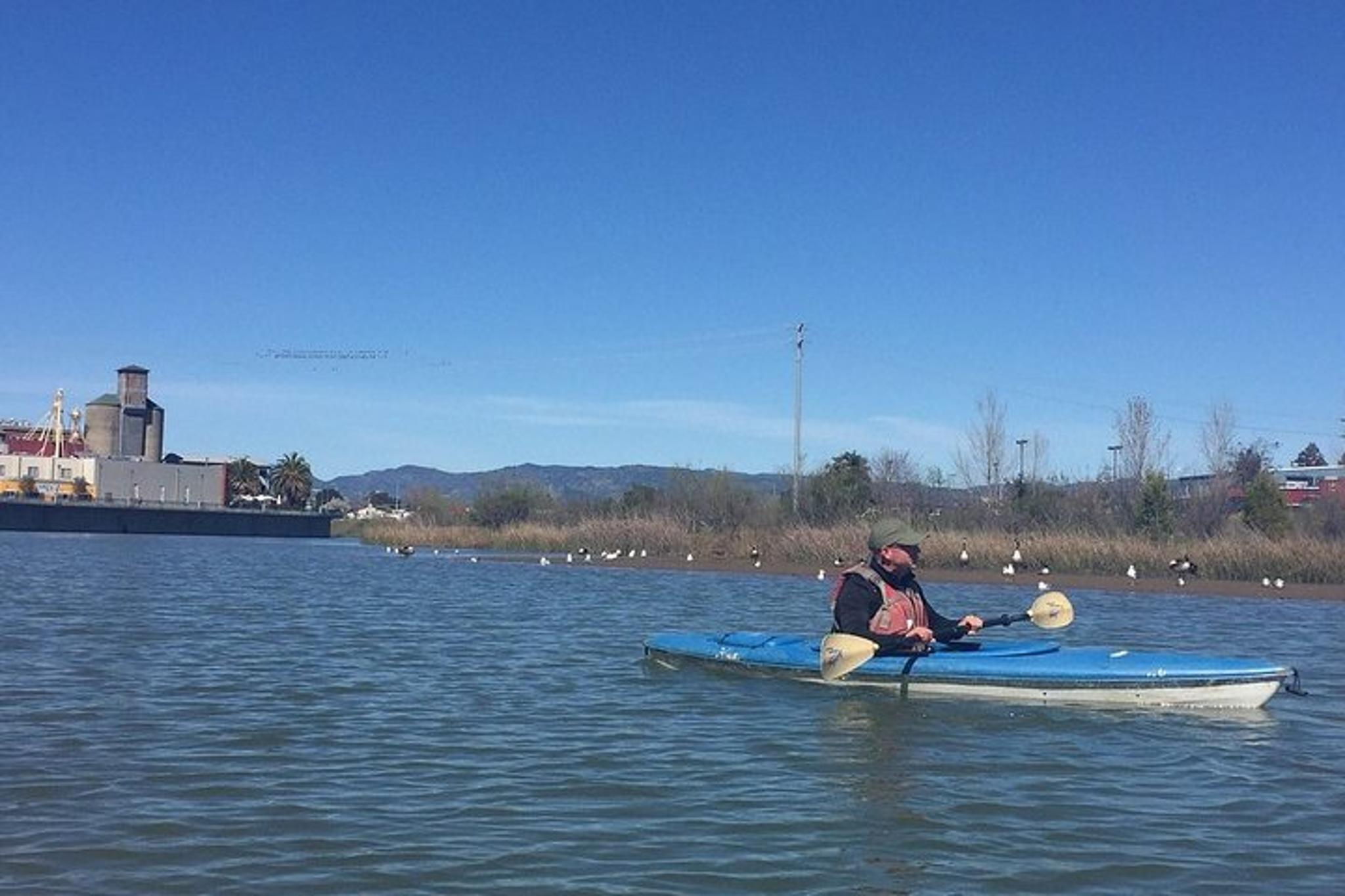 Napa Valley River History Kayak Tour - Image 5