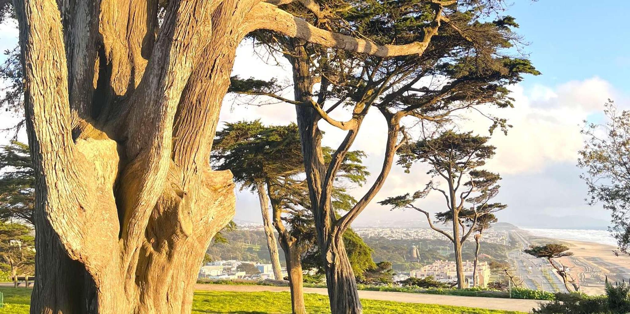 San Francisco Wild Coast Walking Tour - Image 6