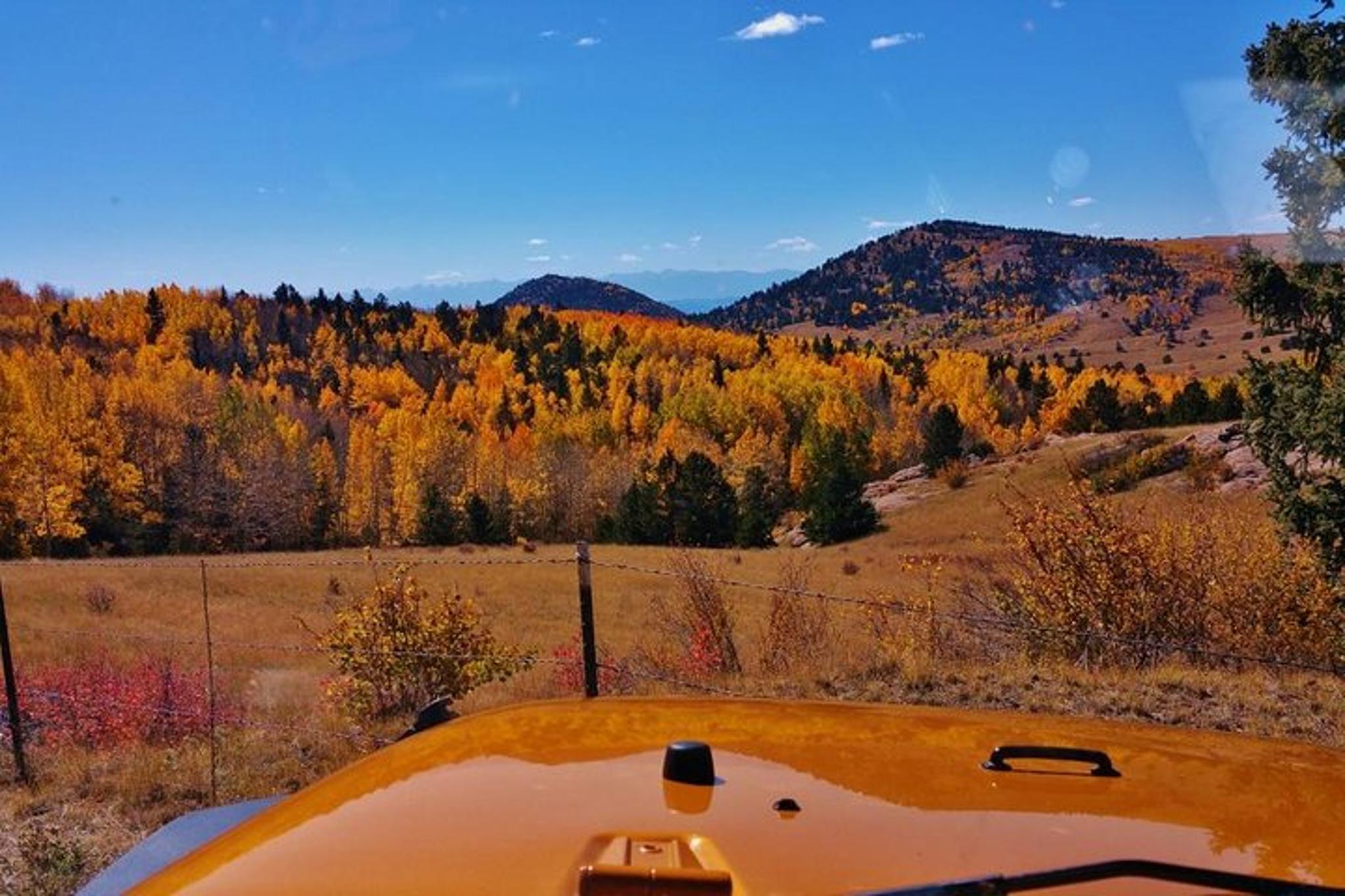 Canon City Fall Foliage Jeep Tour - Image 2