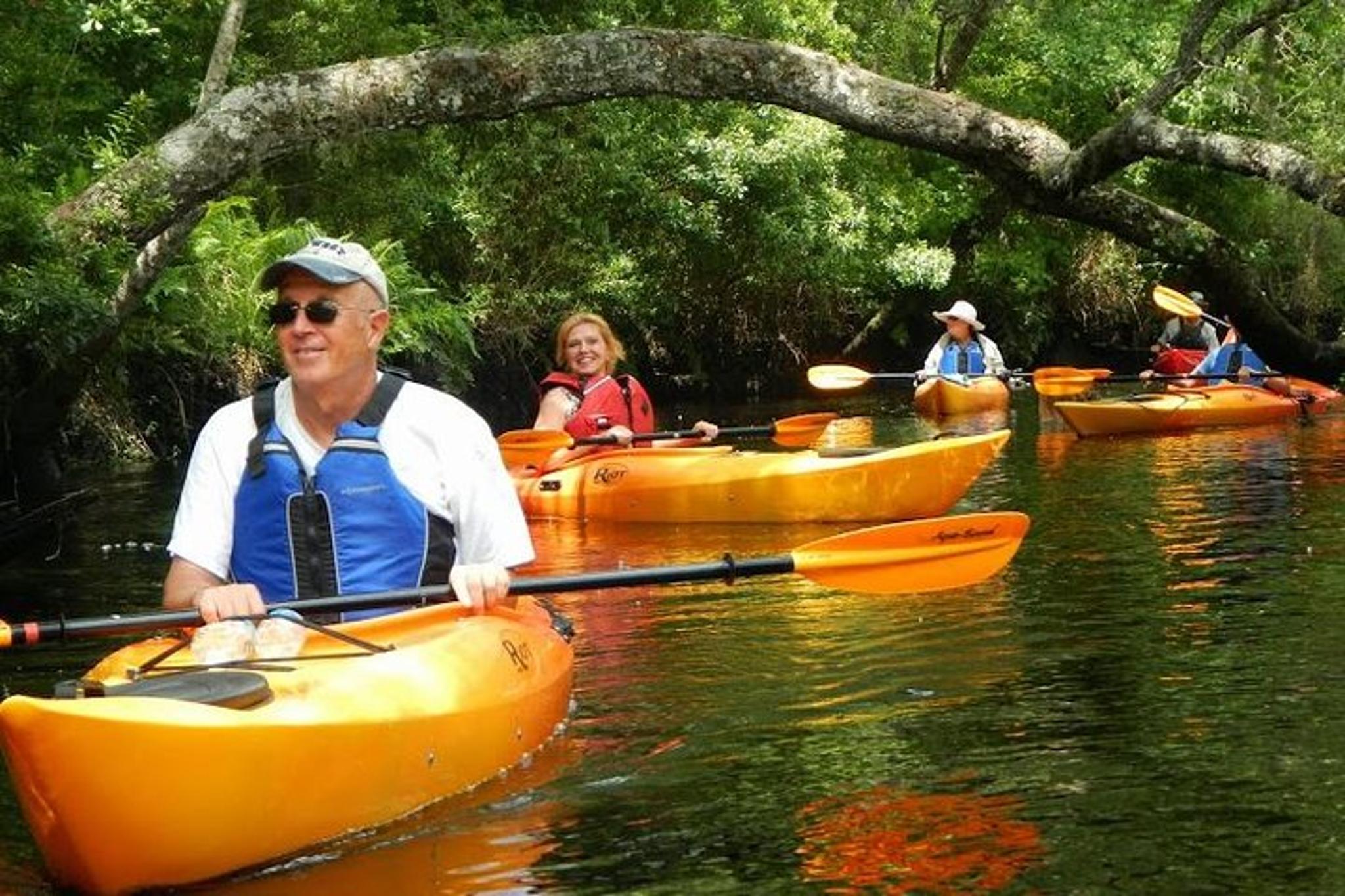 Amelia Island Kayak Rental on Lofton Creek - Image 3