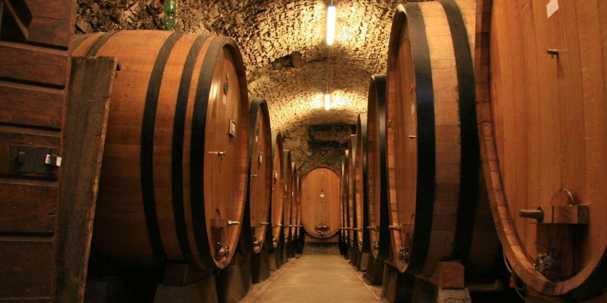 Washington, DC Virginia Wine Country Day-Trip - Image 3