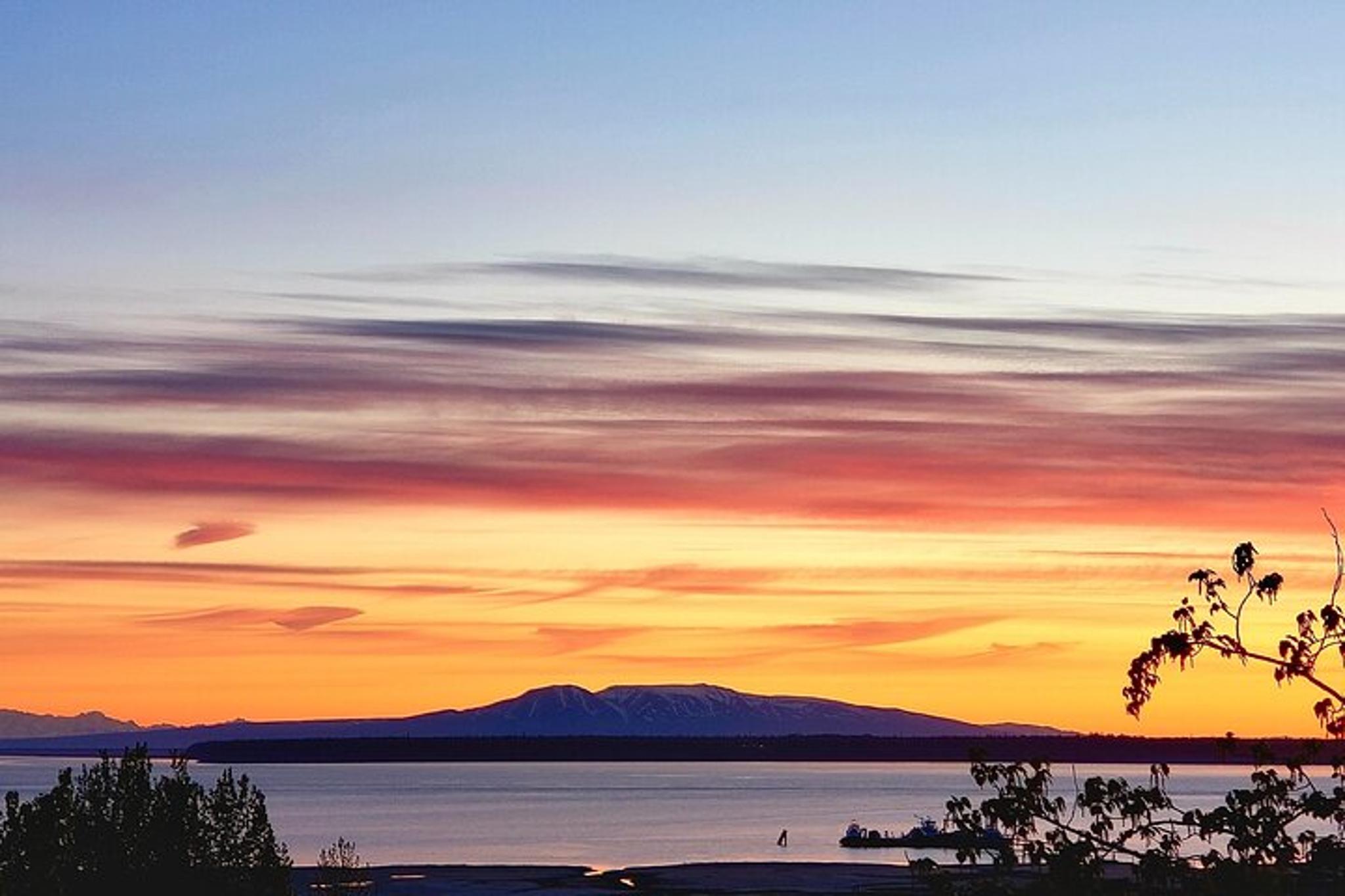 Anchorage Winter Wildlife Tour at Sunset - Image 6