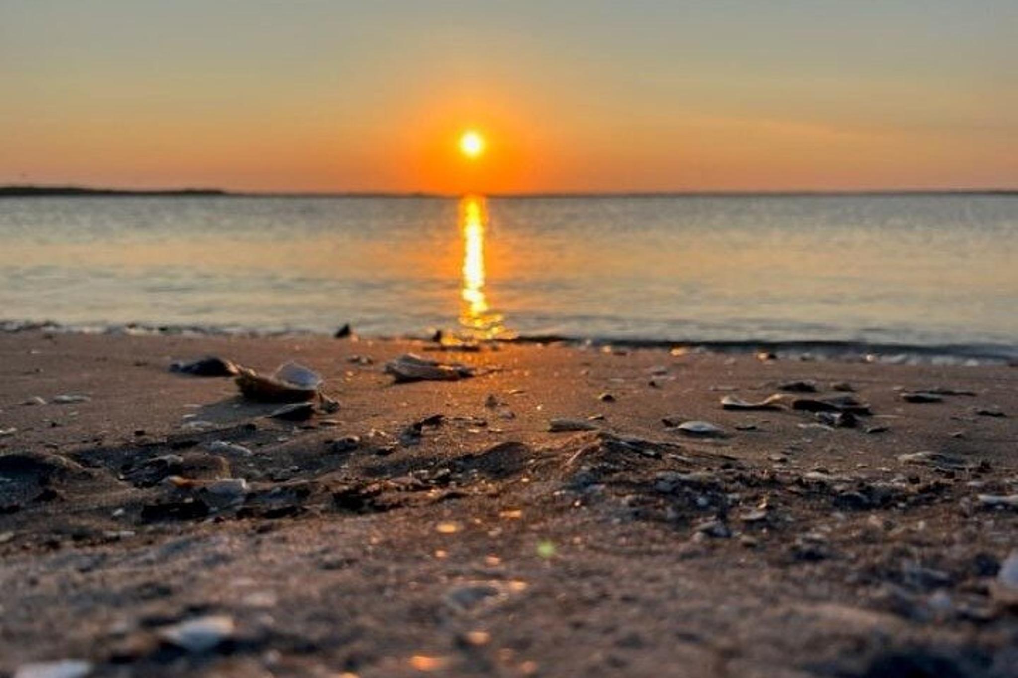 Folly Beach Dolphin Cruise at Sunset - Image 5