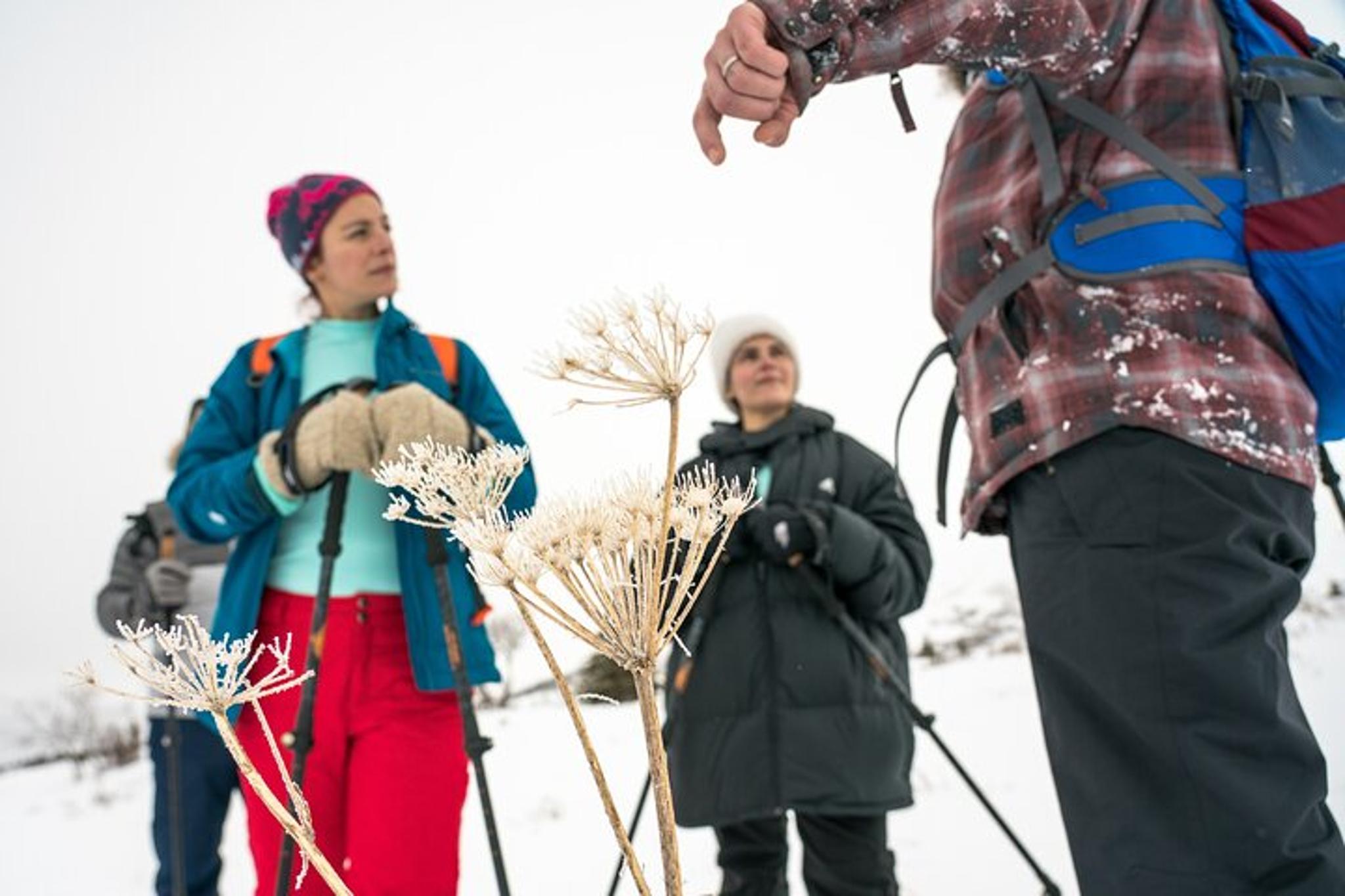 Anchorage Snowshoeing Adventure - Image 5