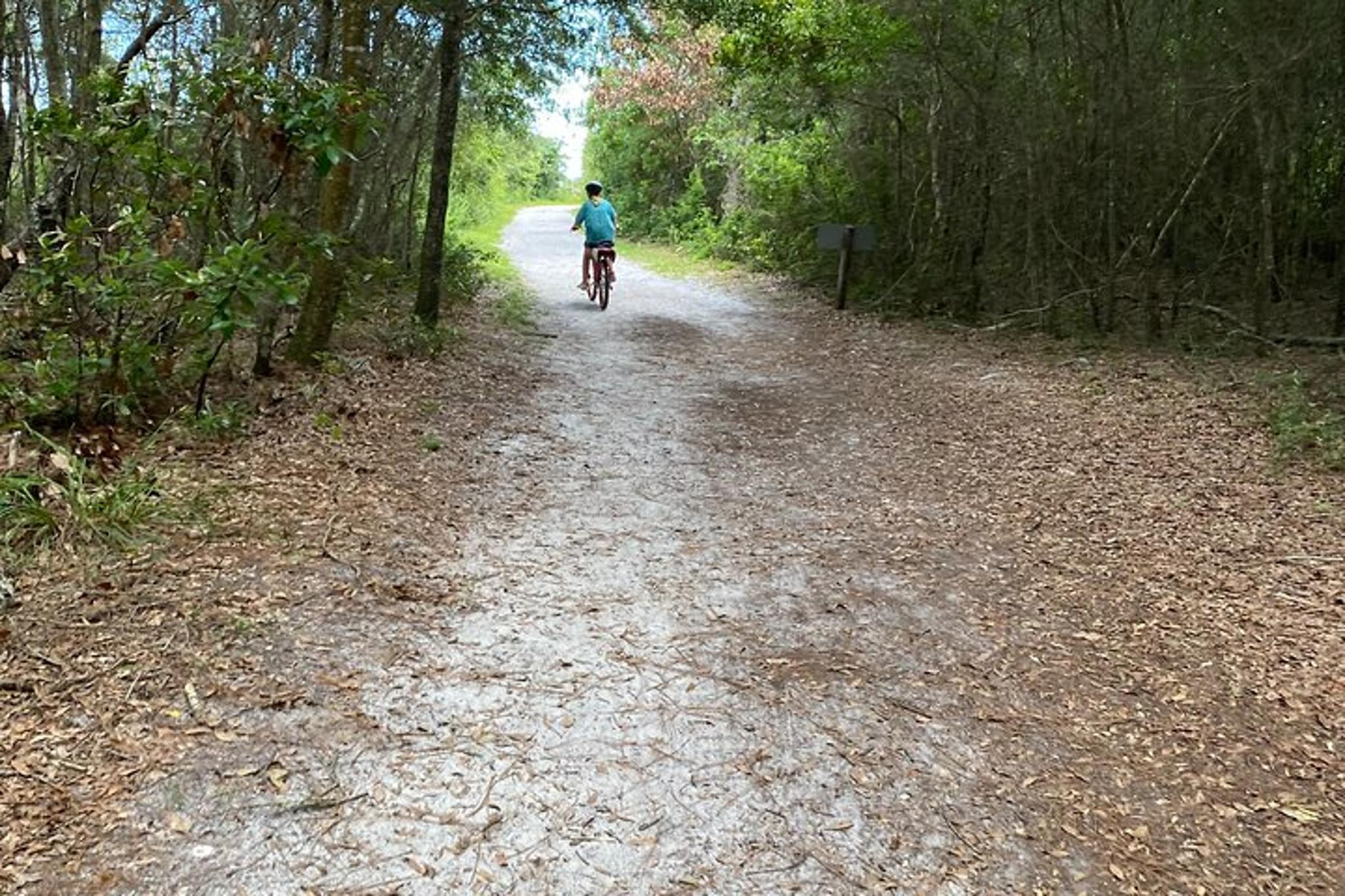 Amelia Island Electric Bike Tour - Image 6