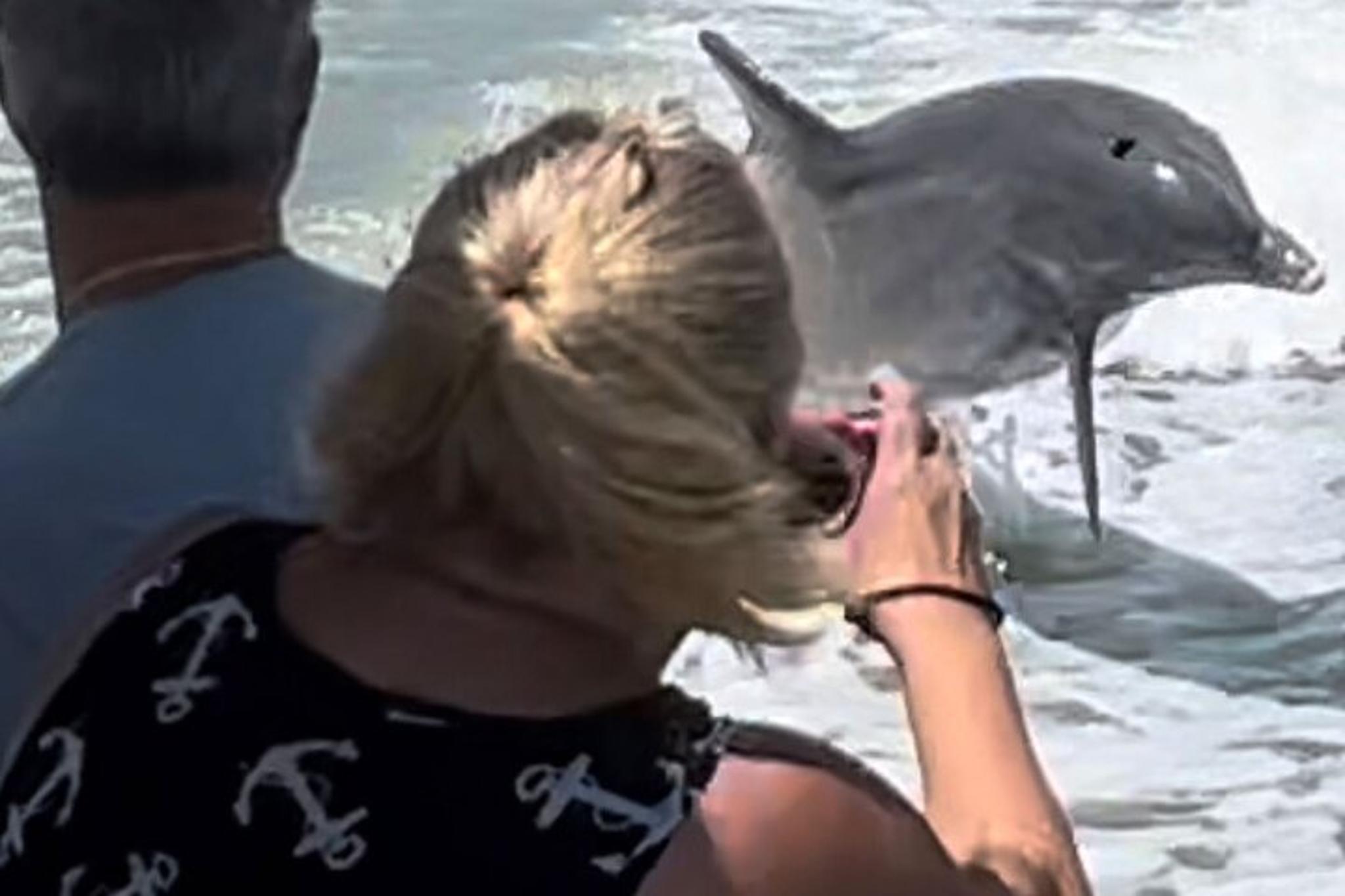 Marco Island Wild Dolphin Tour - Image 3