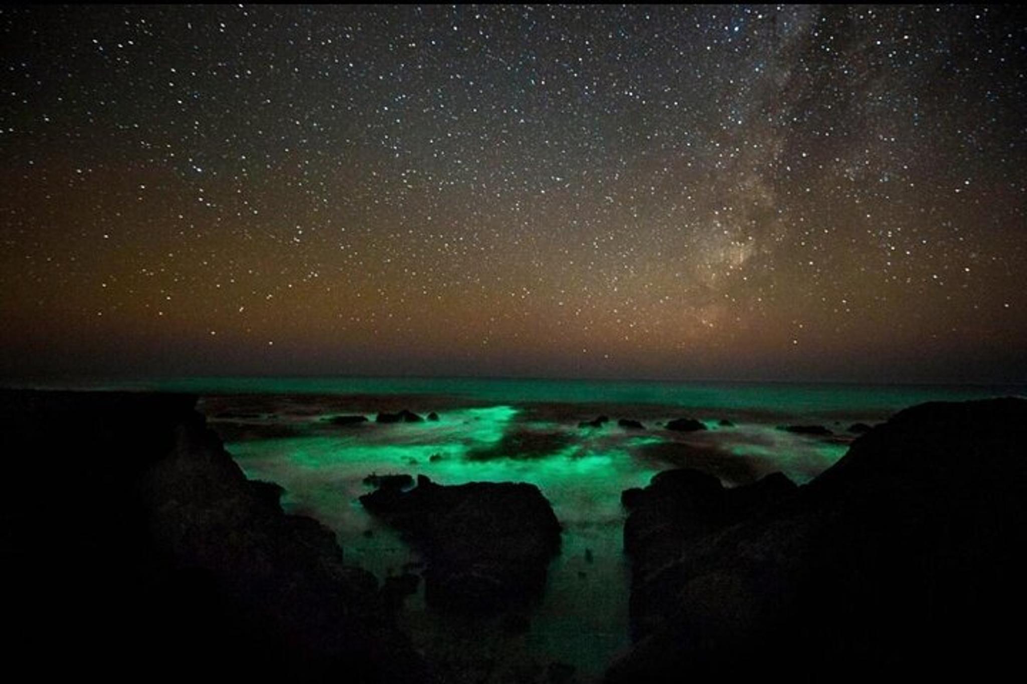 San Juan Islands Bioluminescence Kayak Tour - Image 2