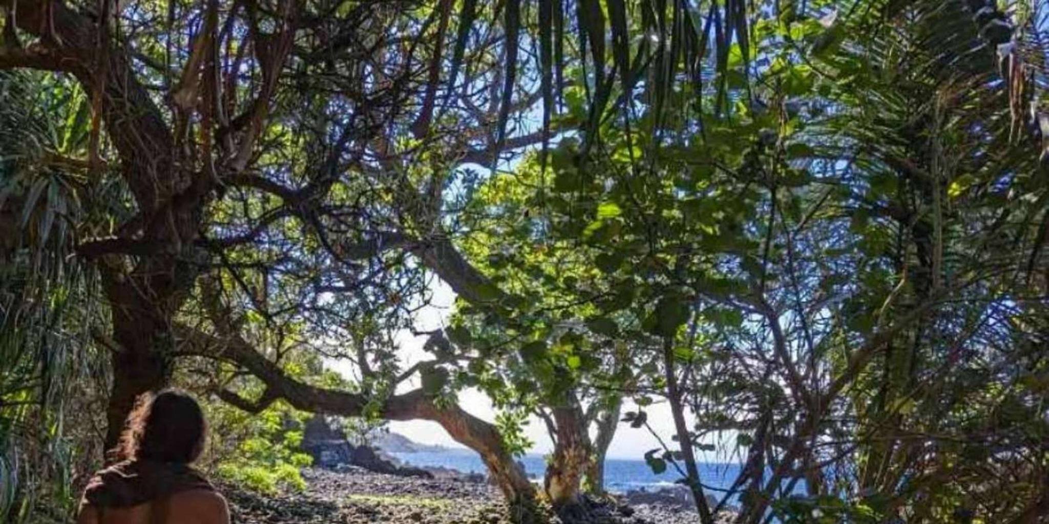 Pāhoa Tide Pool Hike and Jungle Adventure - Image 6