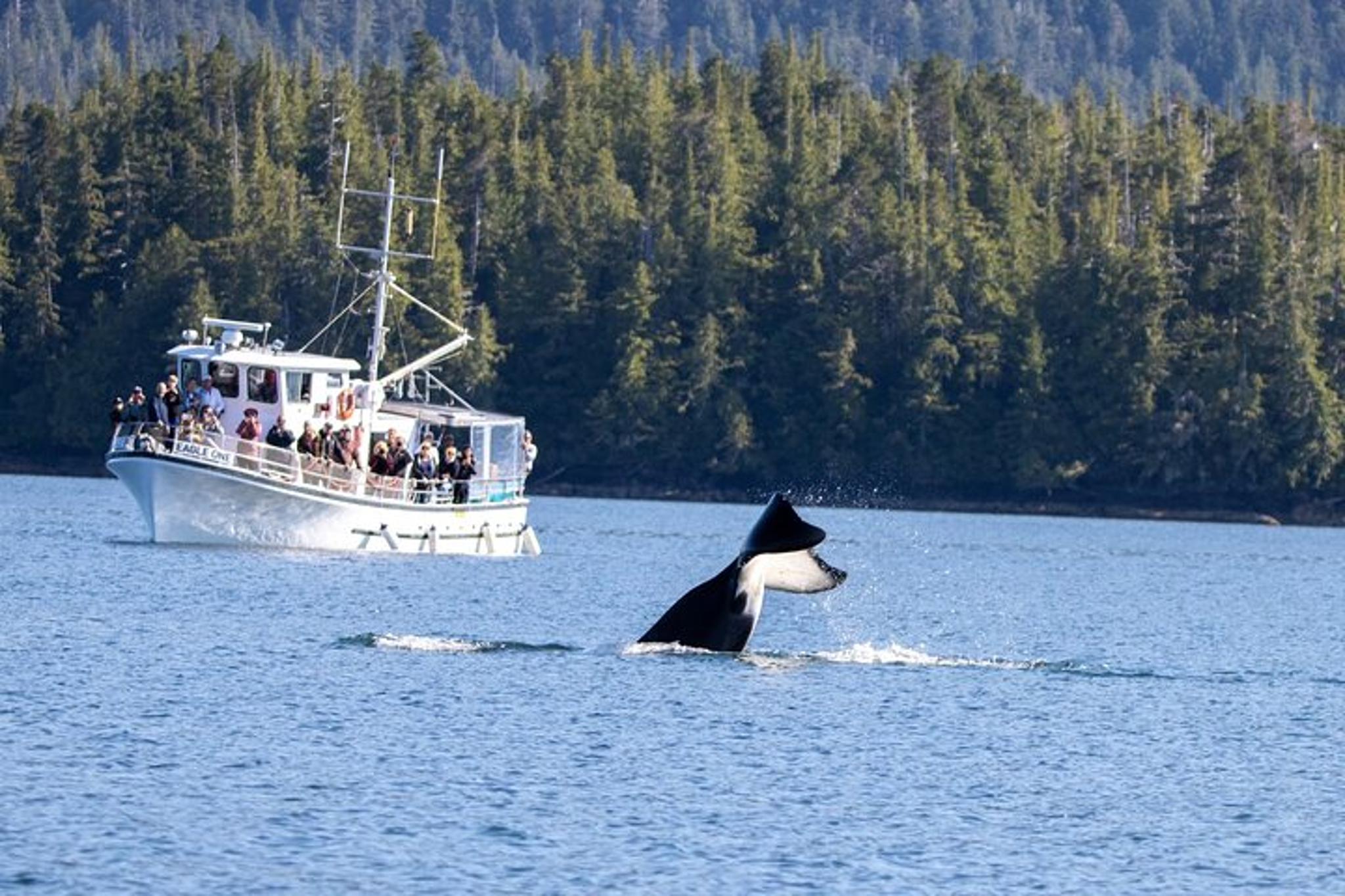 Ketchikan Land and Sea Tour - Image 2