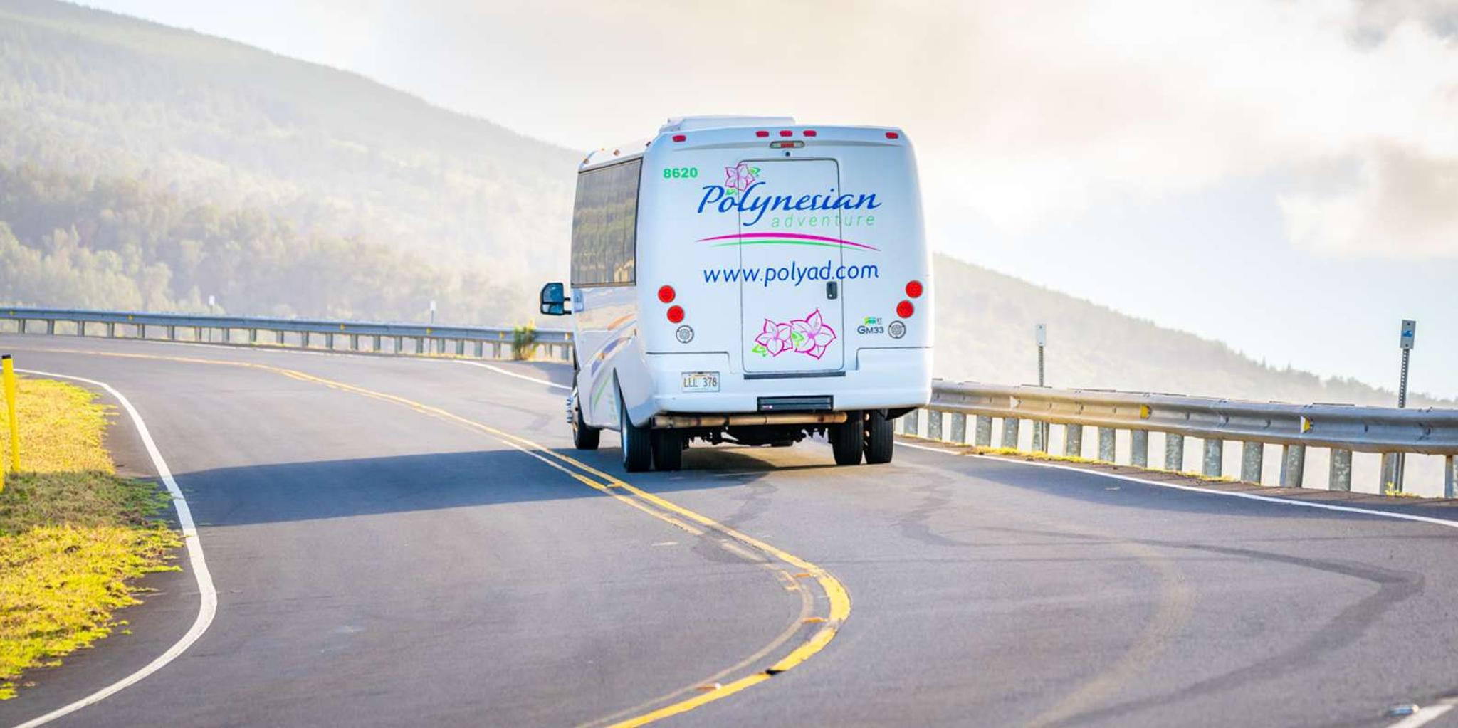 Kauai Waimea Canyon and Koke'e State Park Tour - Image 4