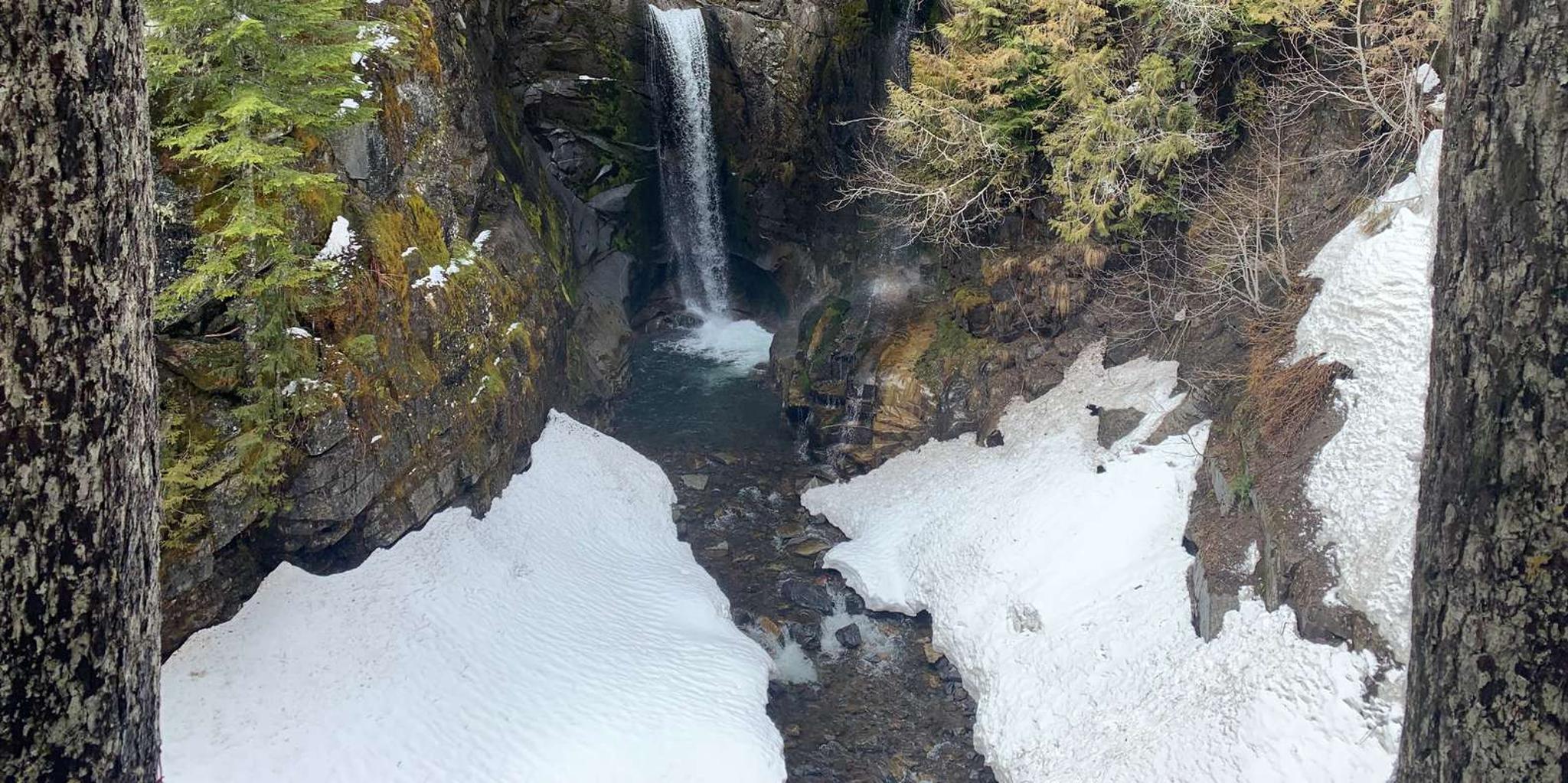 Seattle Mt. Rainier Guided Hike - Image 4