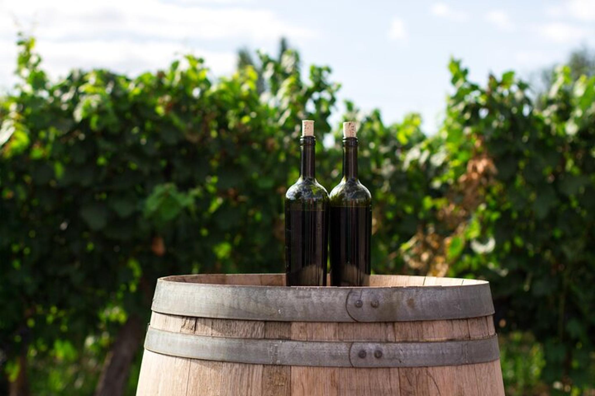Napa Valley Wine Tour - Image 2