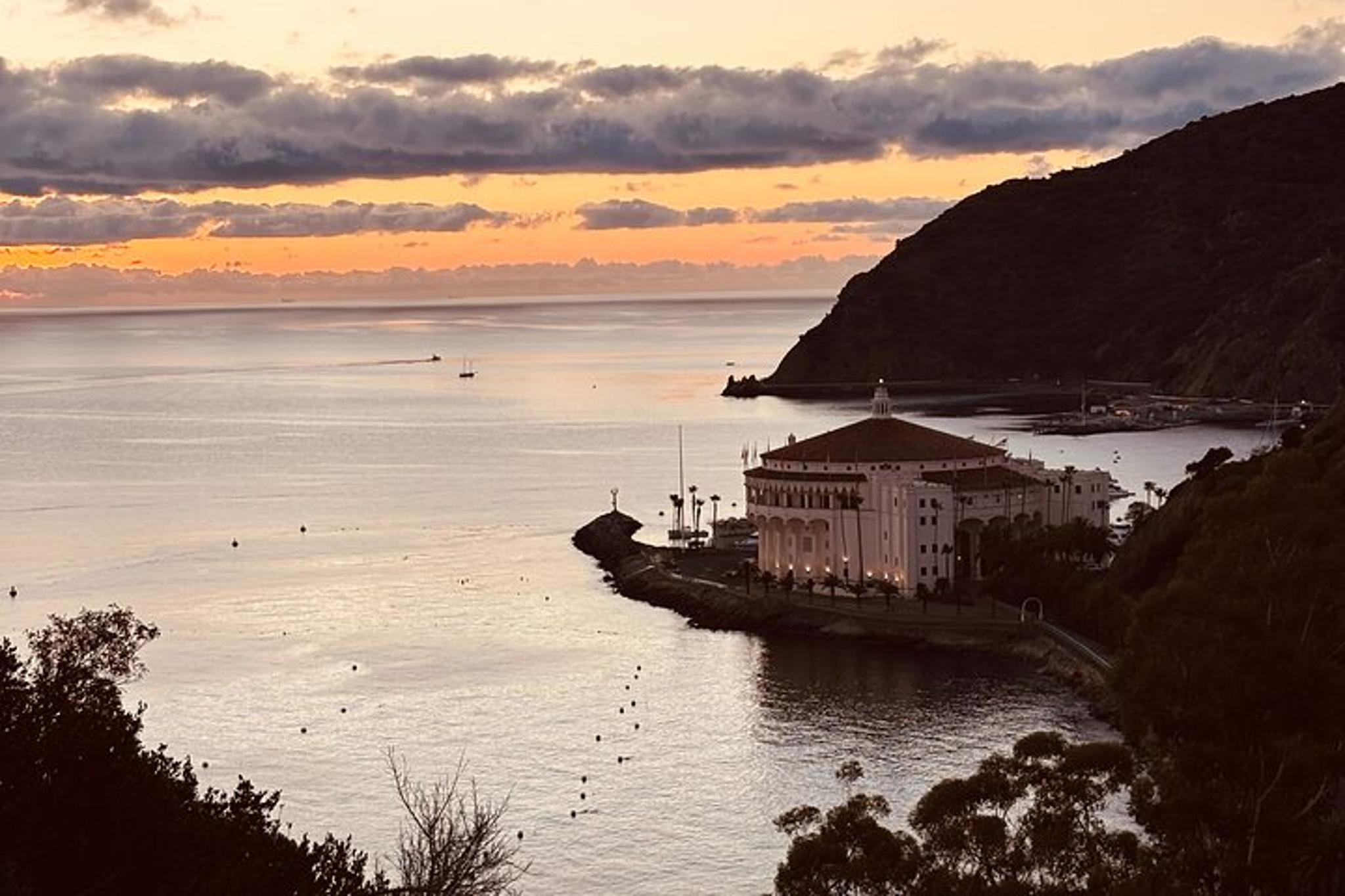 Avalon Scenic Safari Tour at Sunset 1 hr - Image 3