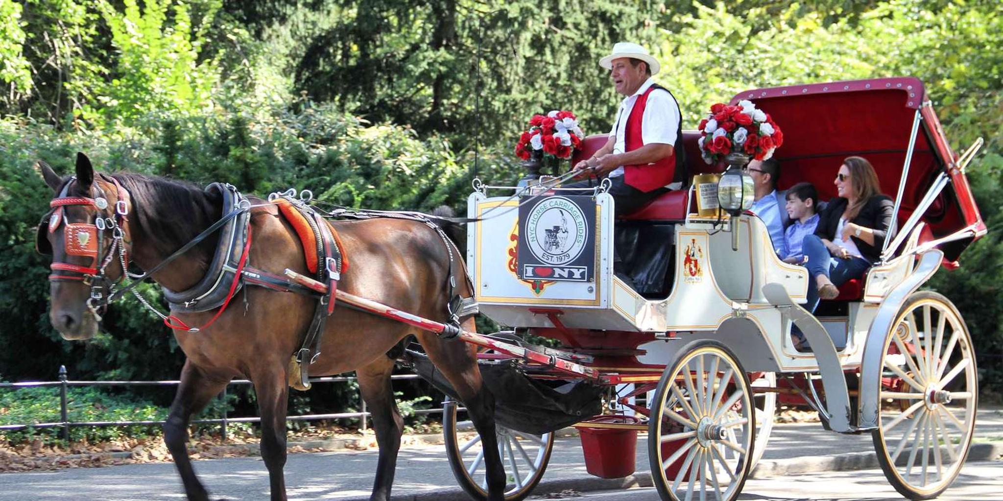 New York City Central Park Horse Carriage Ride - Image 3