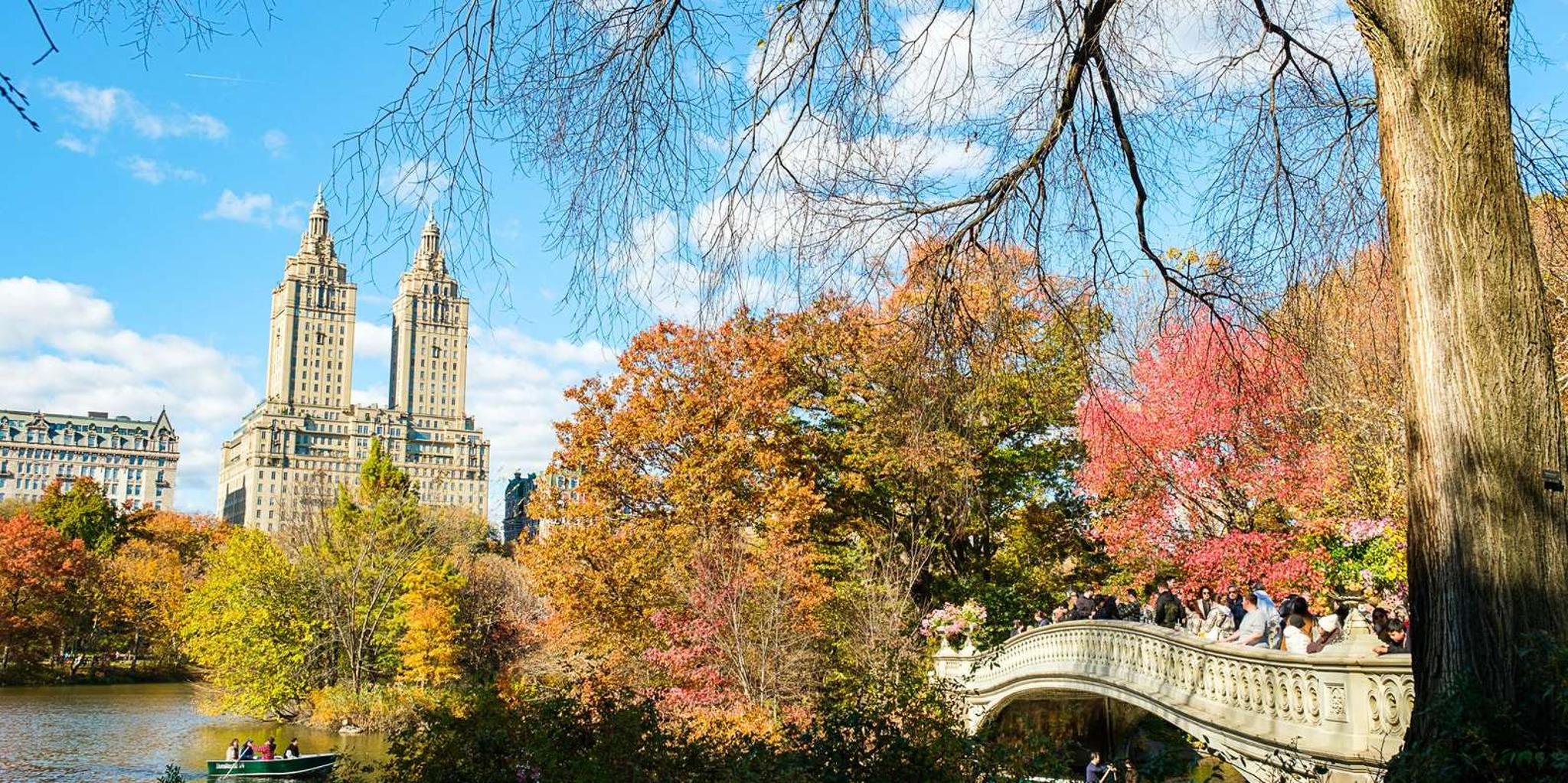 New York Central Park Pedicab Tour with Photo Stops - Image 5