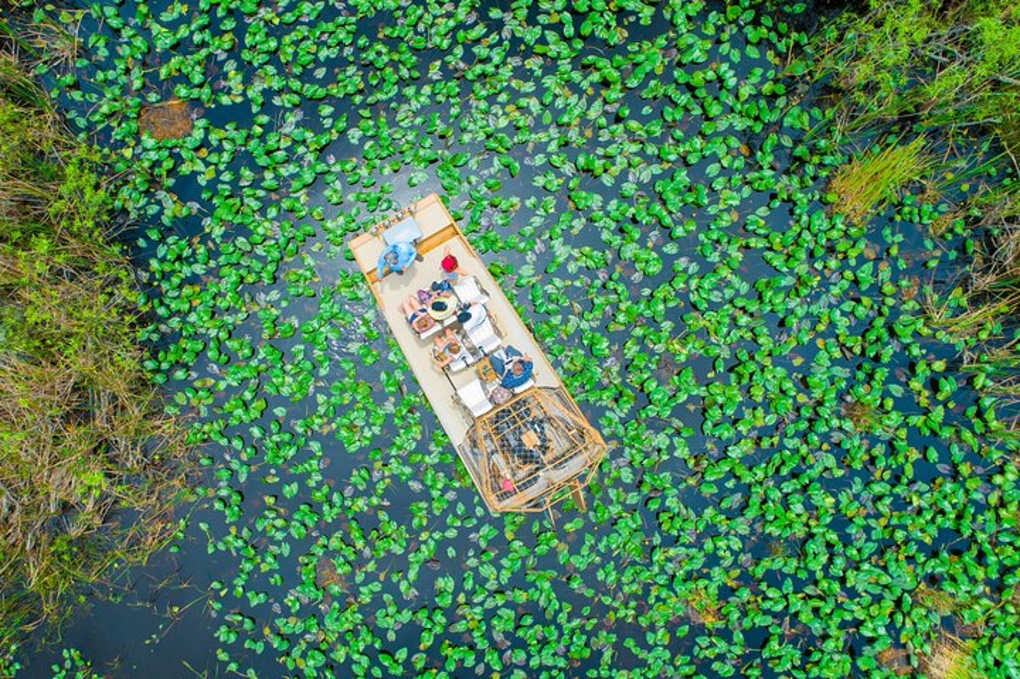 Miami Everglades Airboat Tour with Pickup 1 hr - Image 4