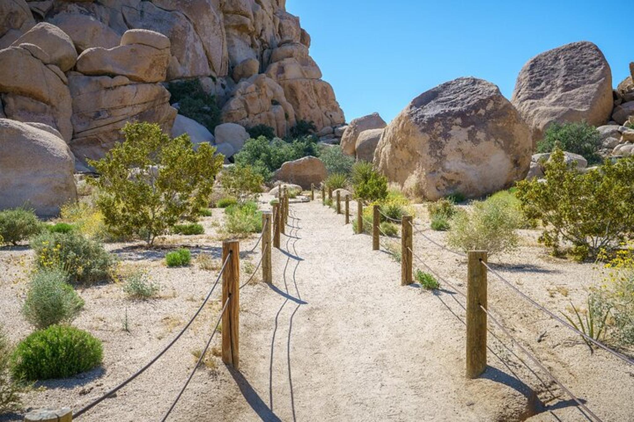 Joshua Tree Hidden Valley Self-Guided Walking Tour