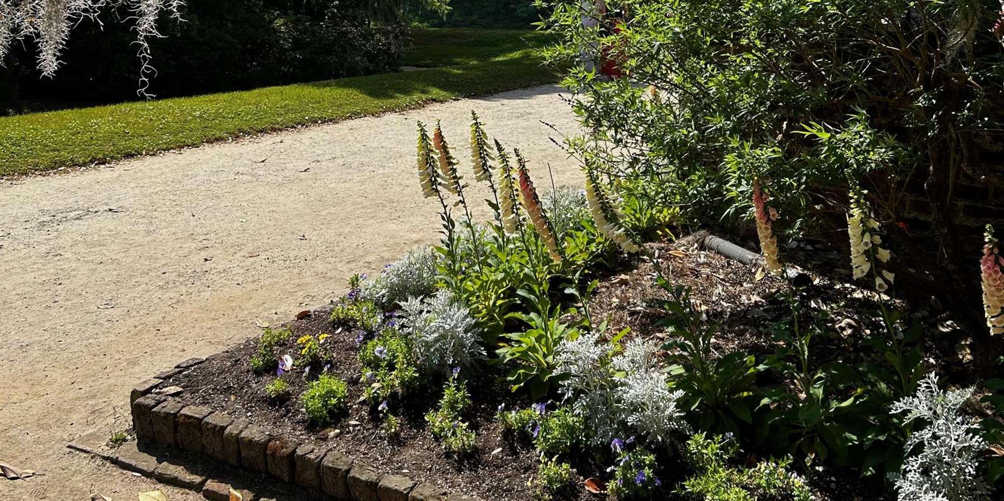Charleston Middleton Place Guided Tour with Lunch - Image 5