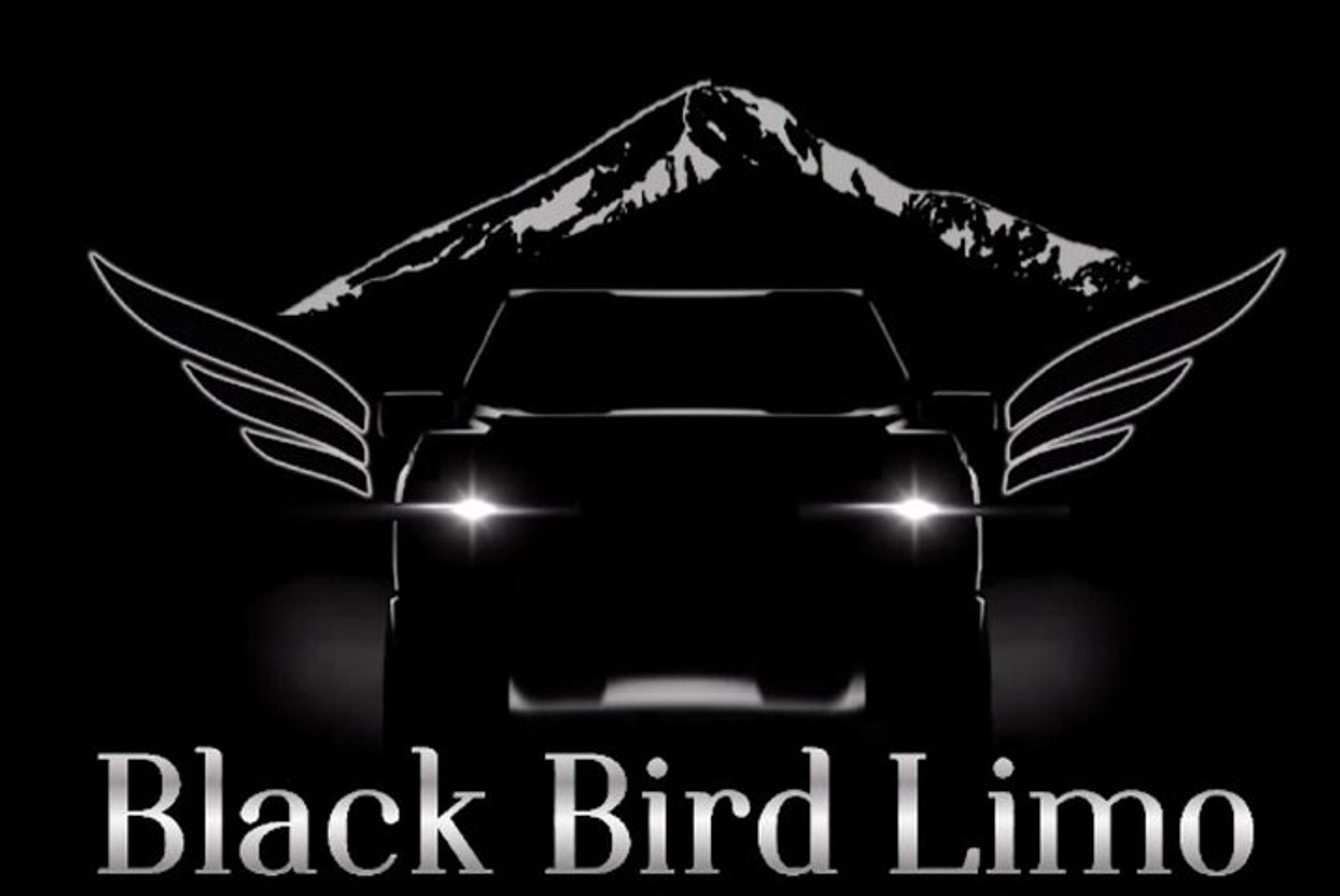 Bozeman Airport Private Car Service - Image 2