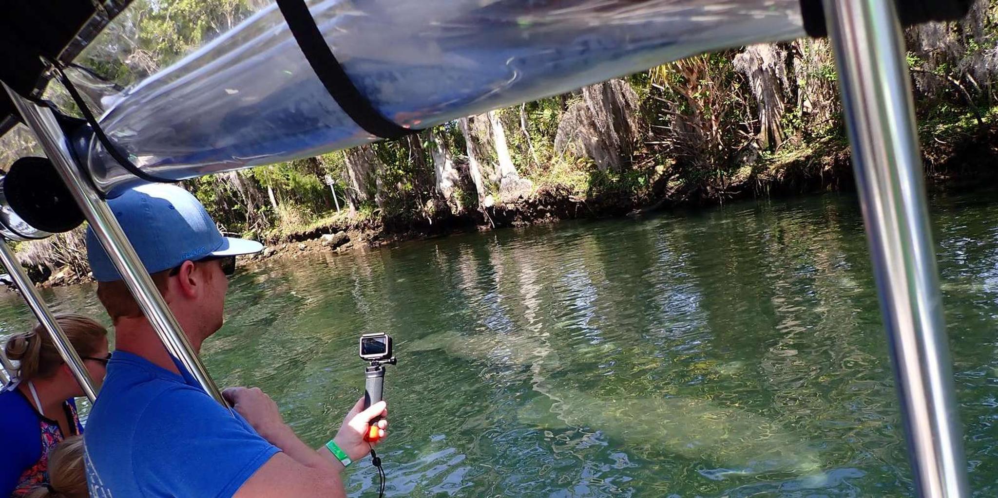 Crystal River Manatee Viewing Cruise