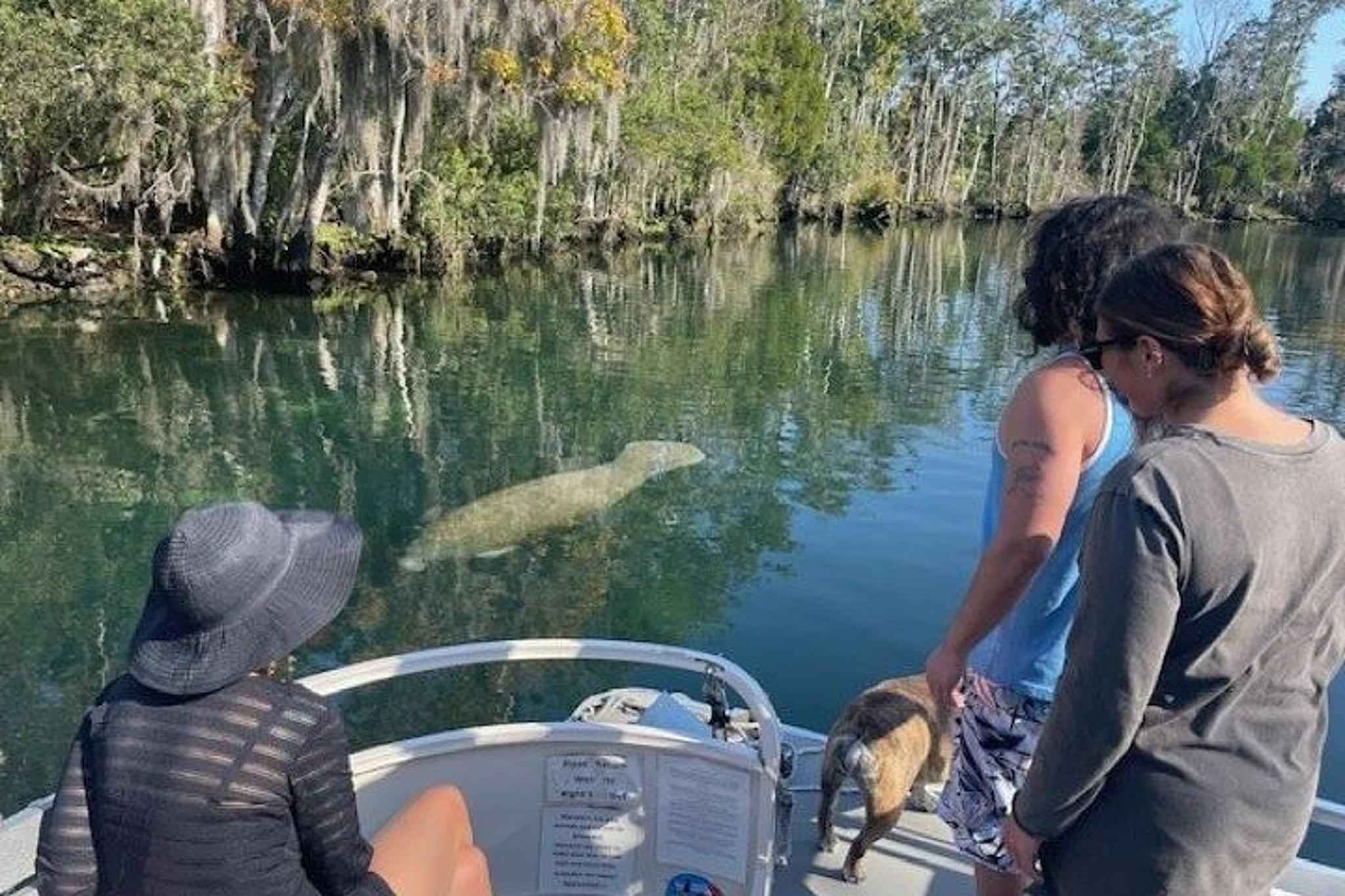 Crystal River Private Boat Tour