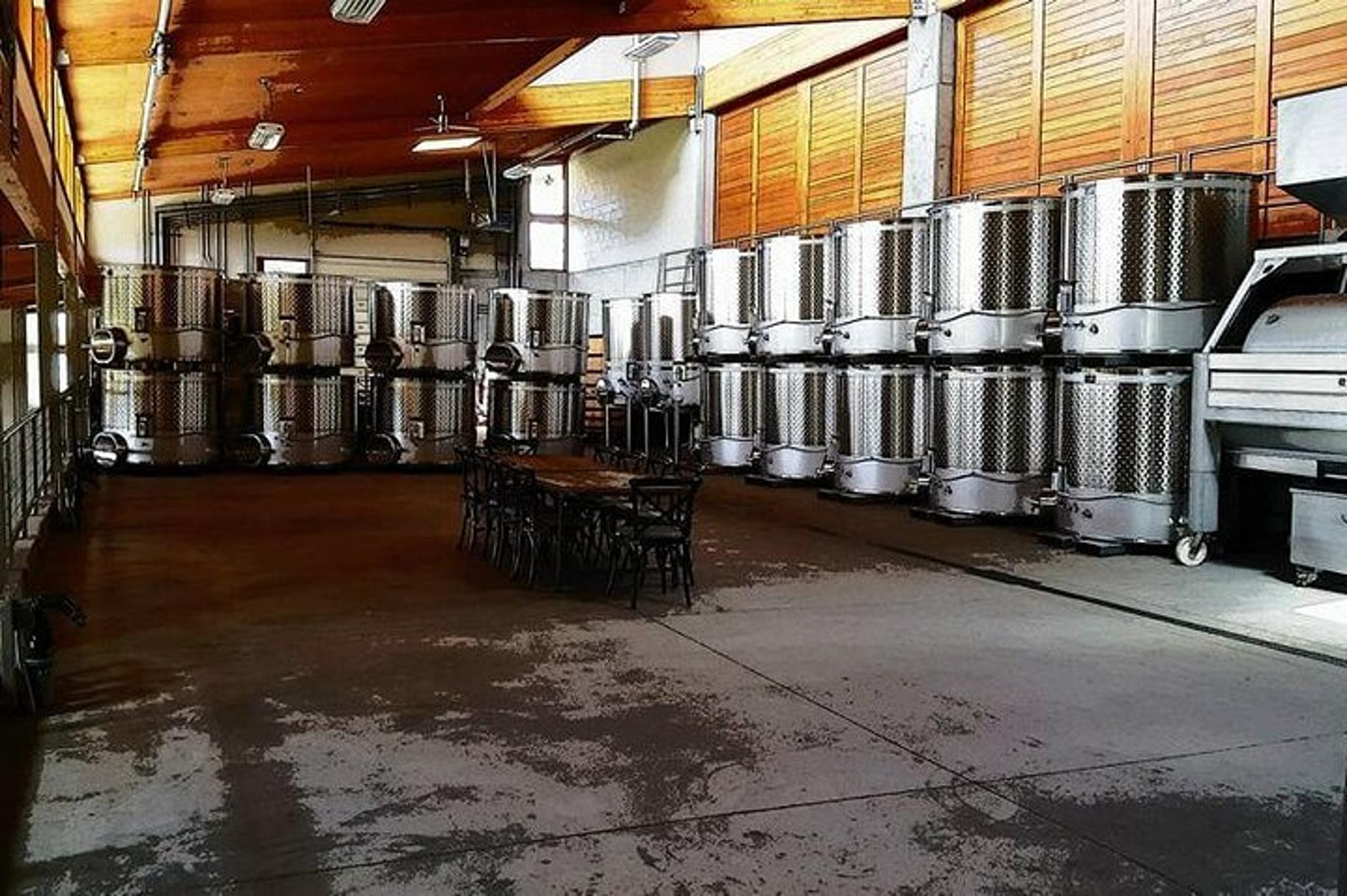 Portland Willamette Valley Wine Tour - Image 3