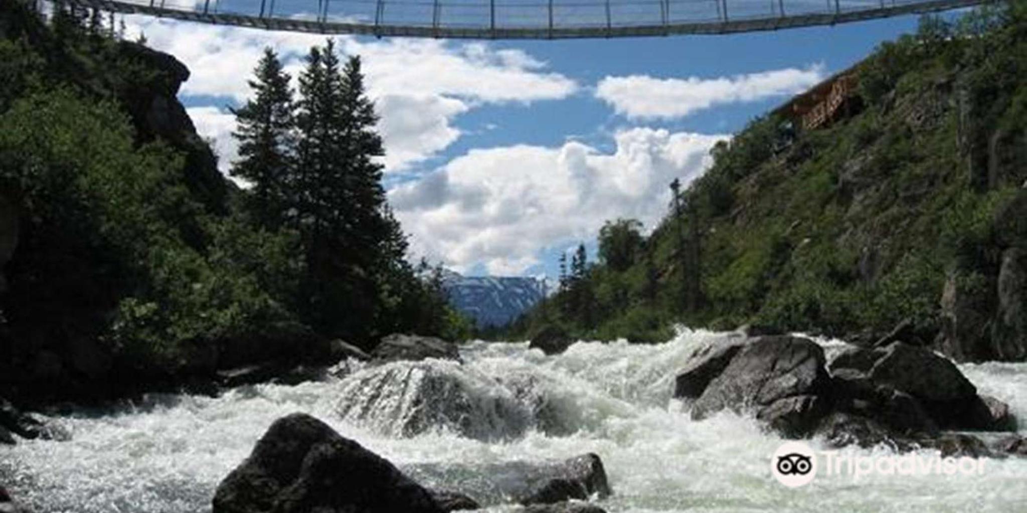 Skagway White Pass and Yukon Suspension Bridge Tour