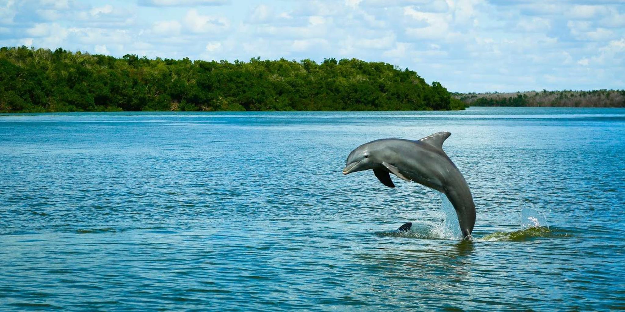 Miami Everglades Tour with Wet Walk and Boat Trips - Image 2
