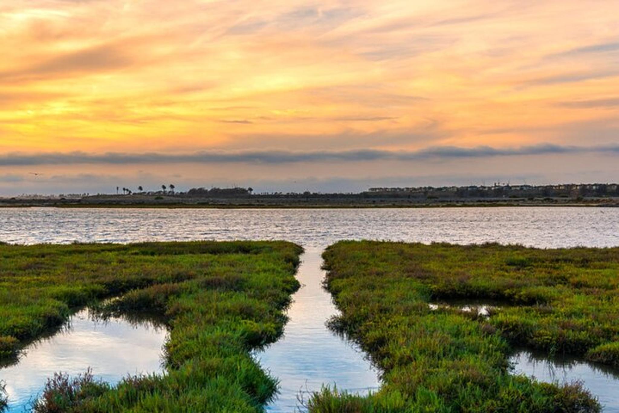 Orange County Hike and Bike Tour - Image 5