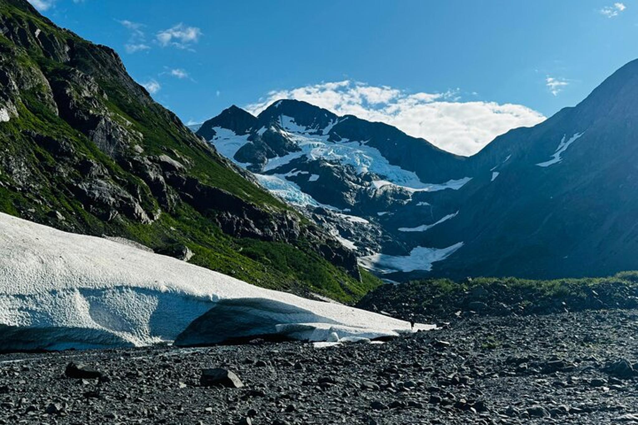 Whittier Wildlife, Glacier & Gold Panning Tour - Image 3