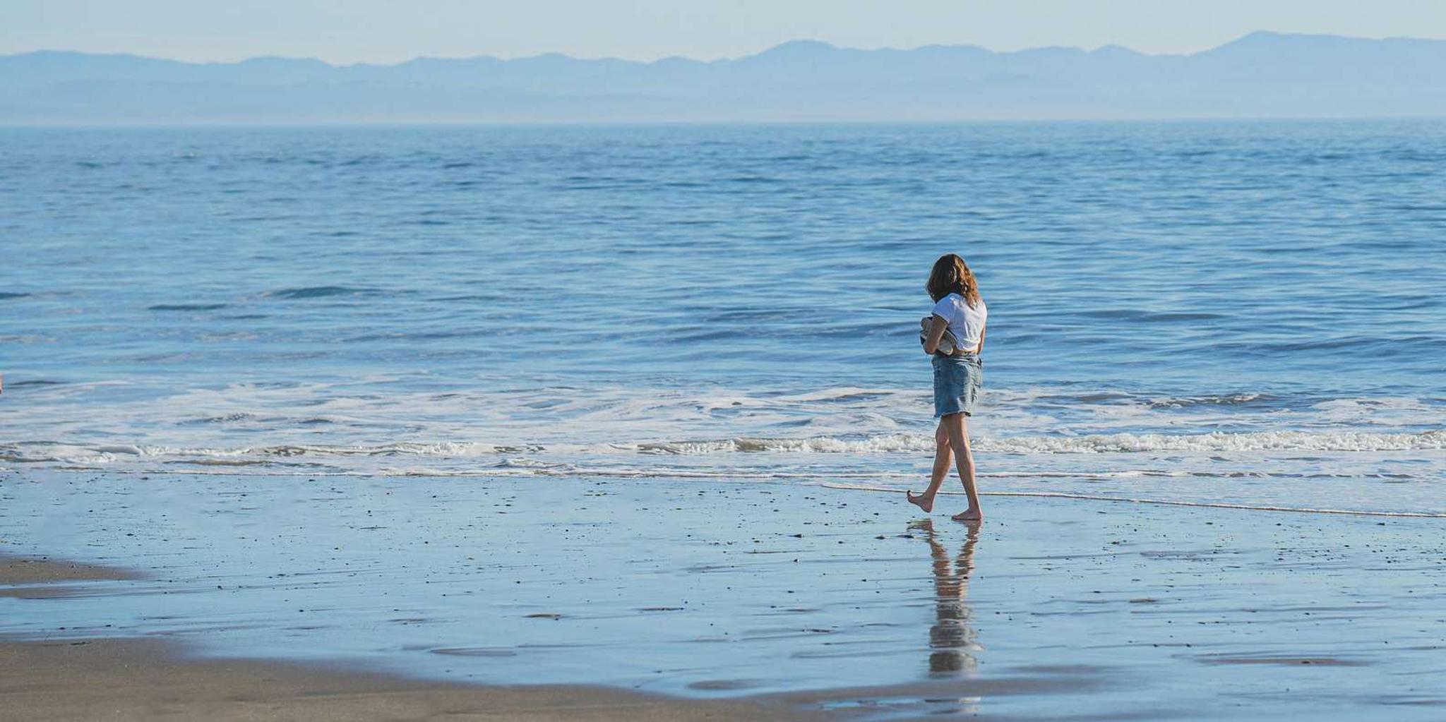 San Francisco Redwood Forest and Santa Cruz Day Trip - Image 5