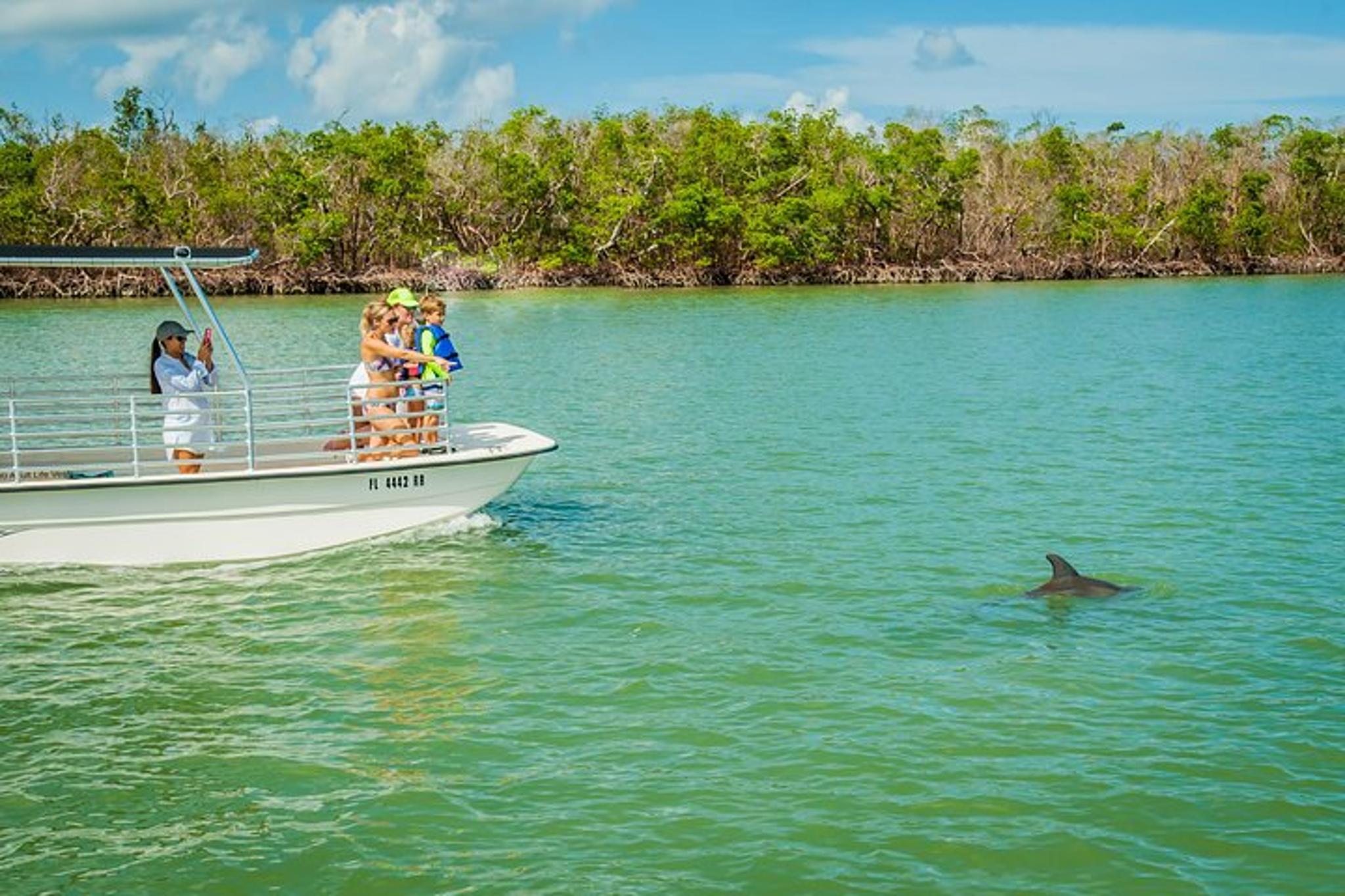 Marco Island Dolphin Sightseeing Tour 2 hr - Image 3