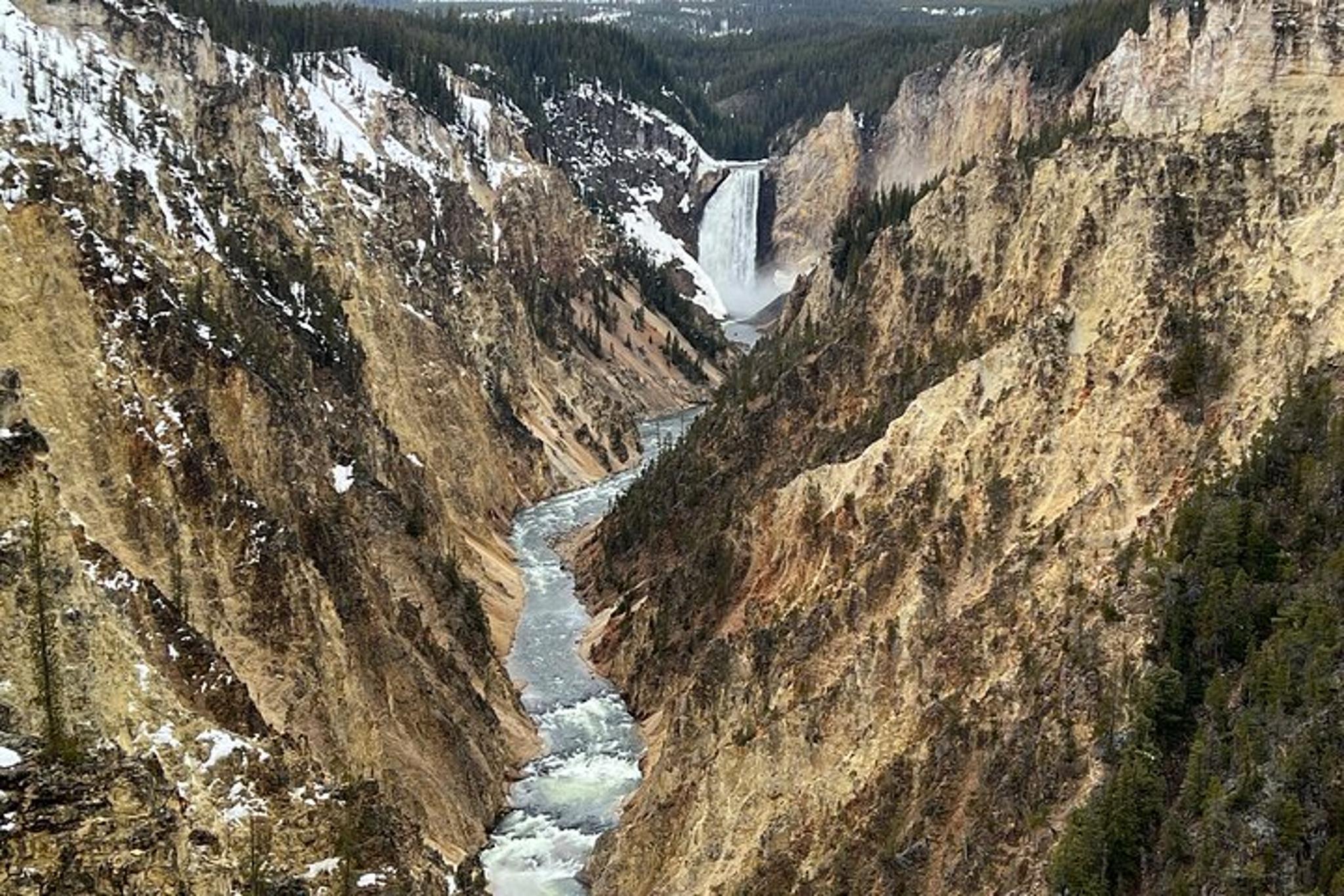 Yellowstone Full Day Tour - Image 3