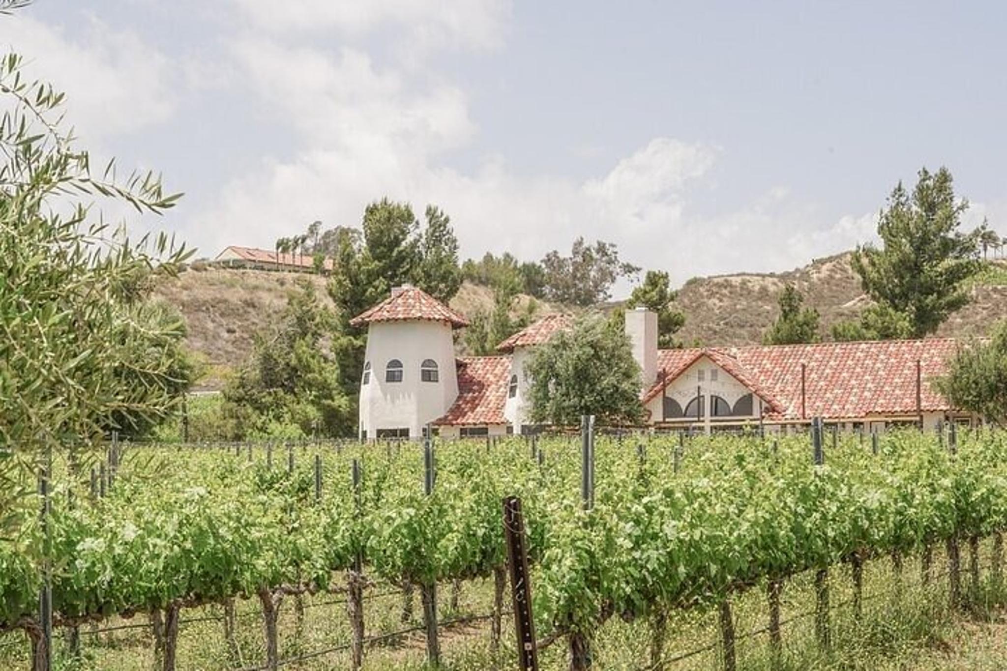 Temecula Wine Tour from Laguna Beach - Image 6