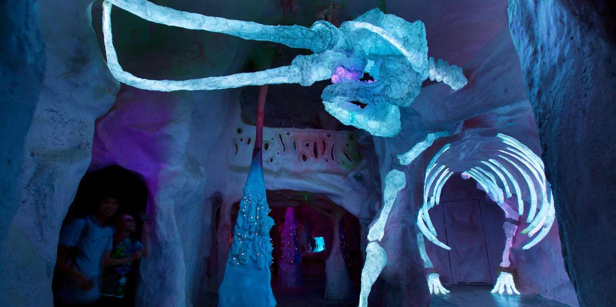 Santa Fe Meow Wolf House of Eternal Return Ticket - Image 5