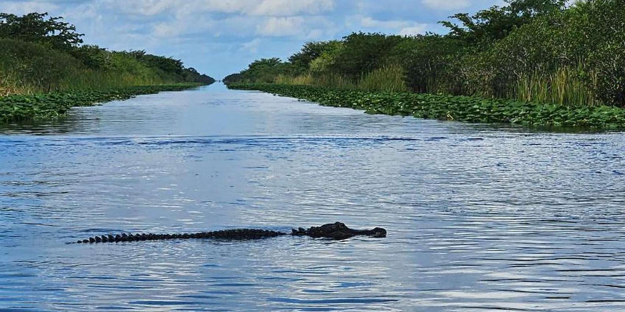Miami Everglades Airboat Tour with Transportation - Image 3
