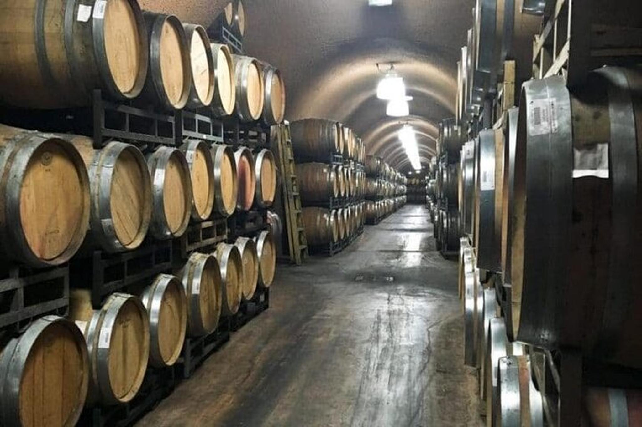 San Francisco Napa Valley Wine Tour - Image 4