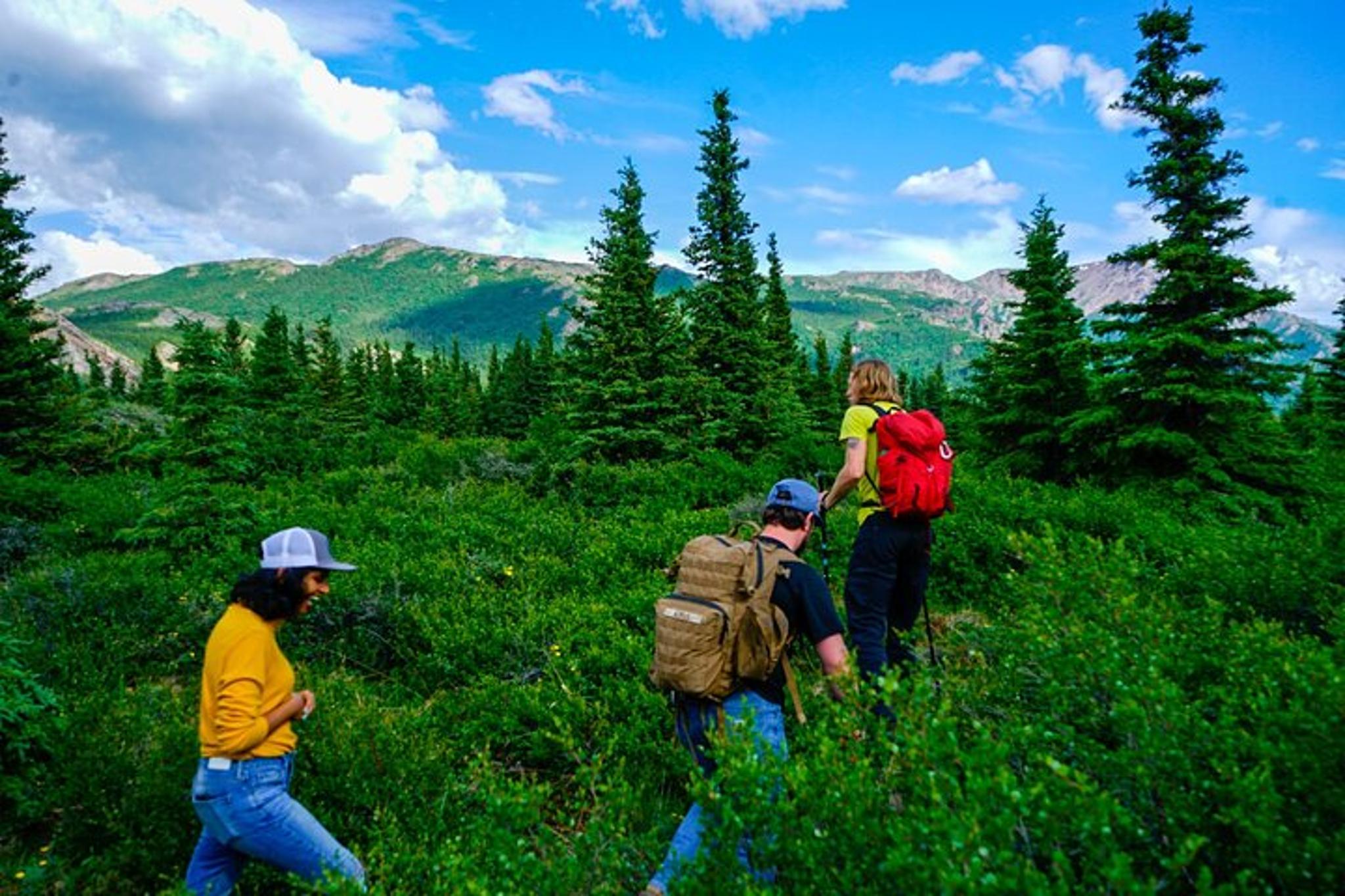 Denali Off-Trail Hiking Adventure - Image 3