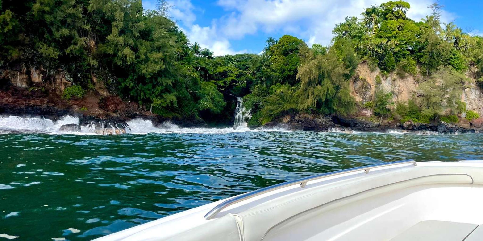 Hilo Waterfalls Boat Cruise - Image 4