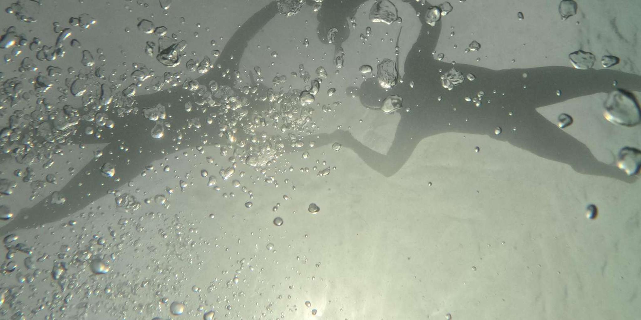 Crystal River Manatee Swim Tour with Free Photos - Image 4