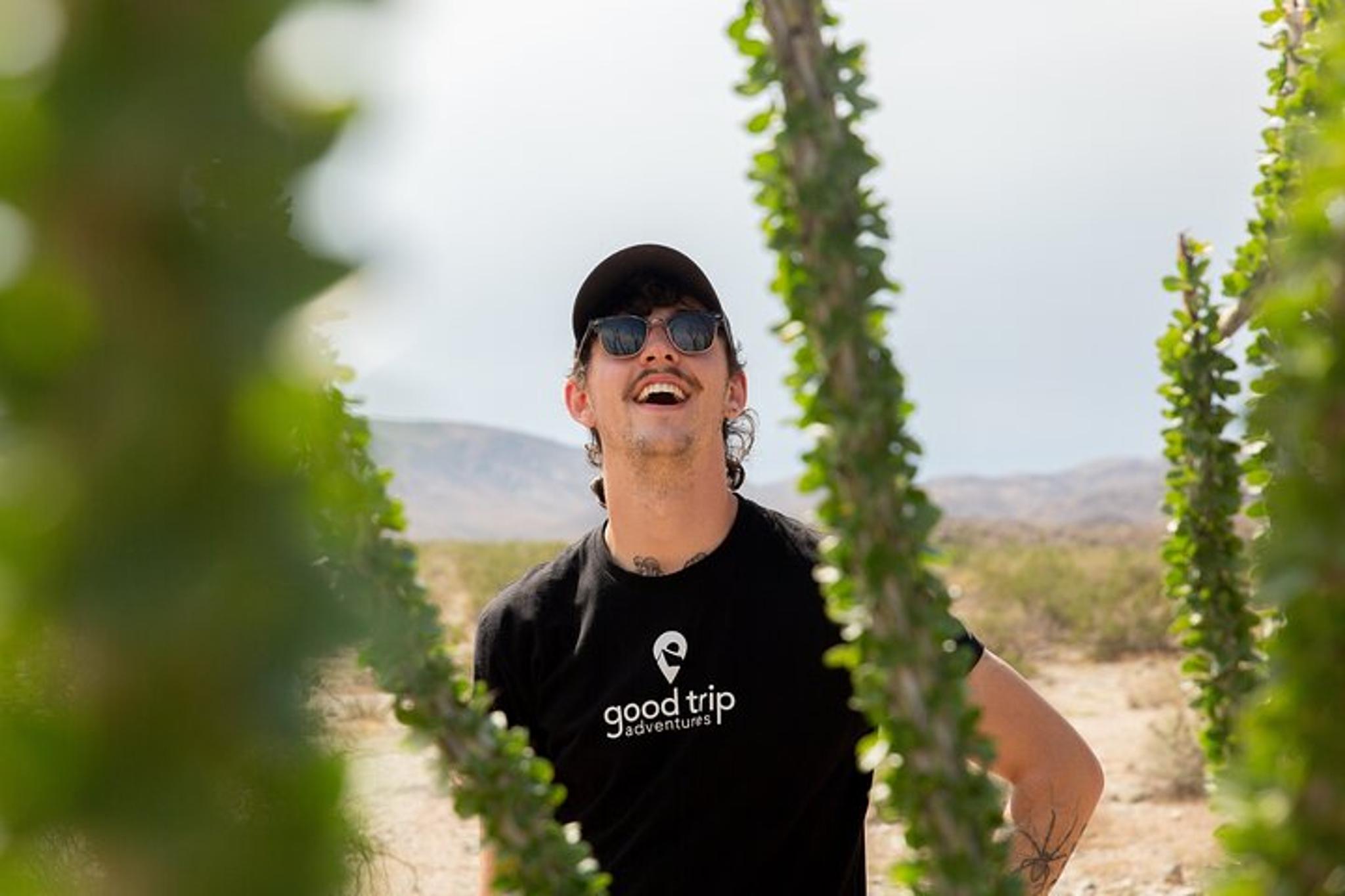 Joshua Tree Private Tour and Hike - Image 6